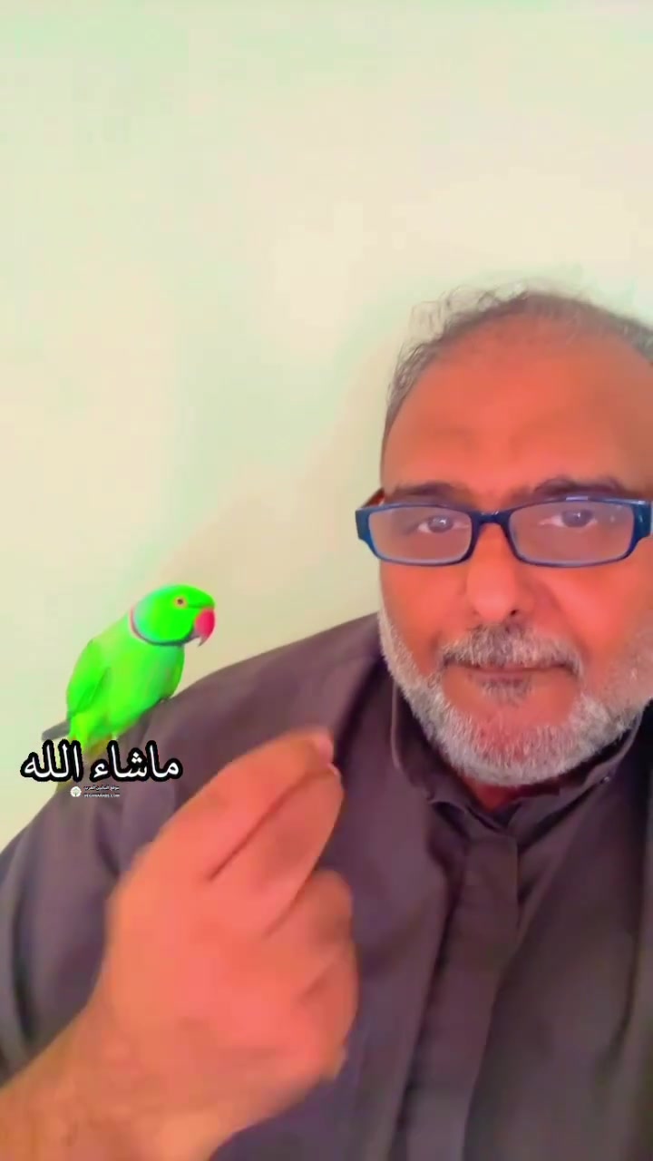 @hamadreyami