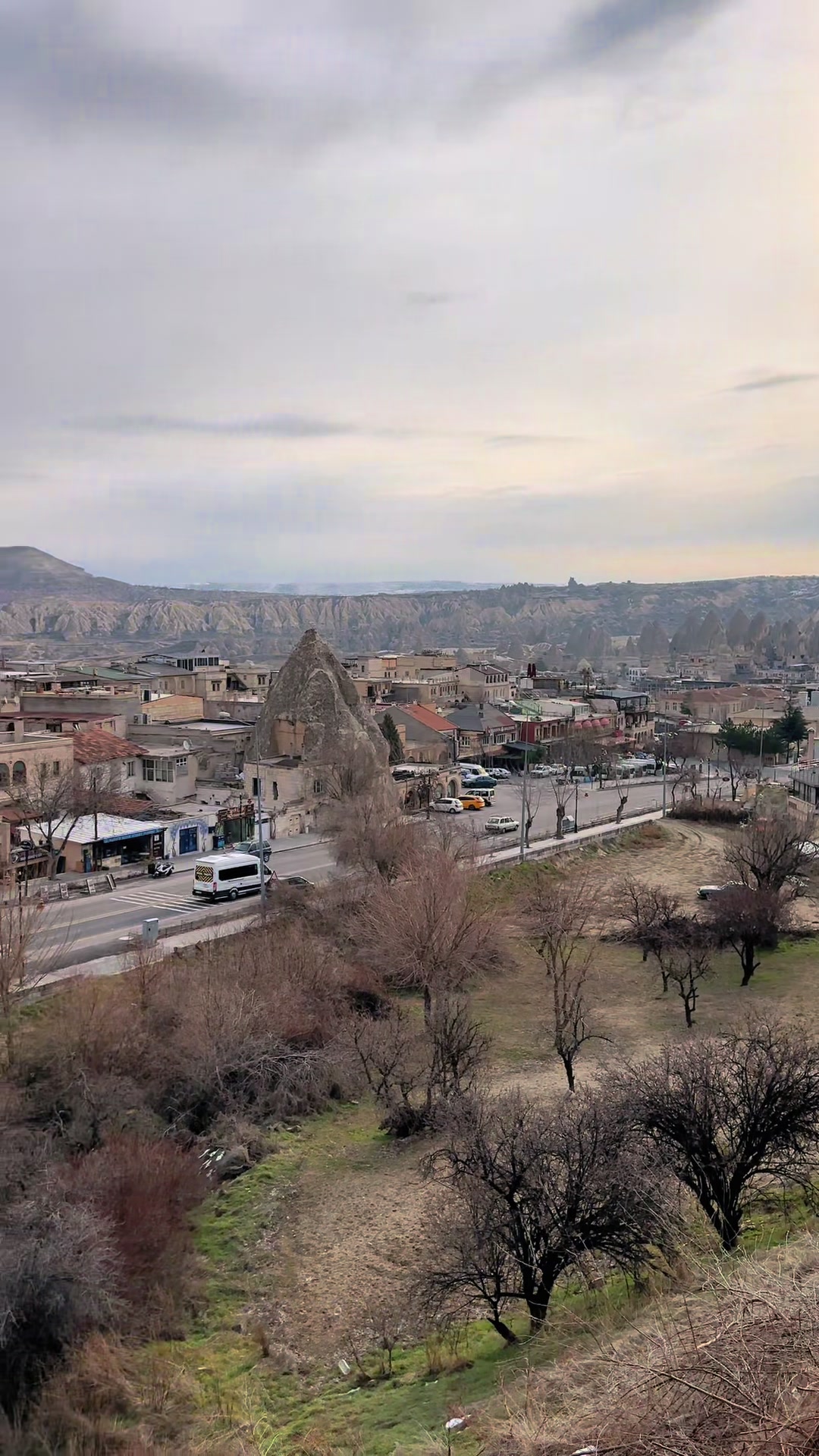 @Aslan & Medıa 5050