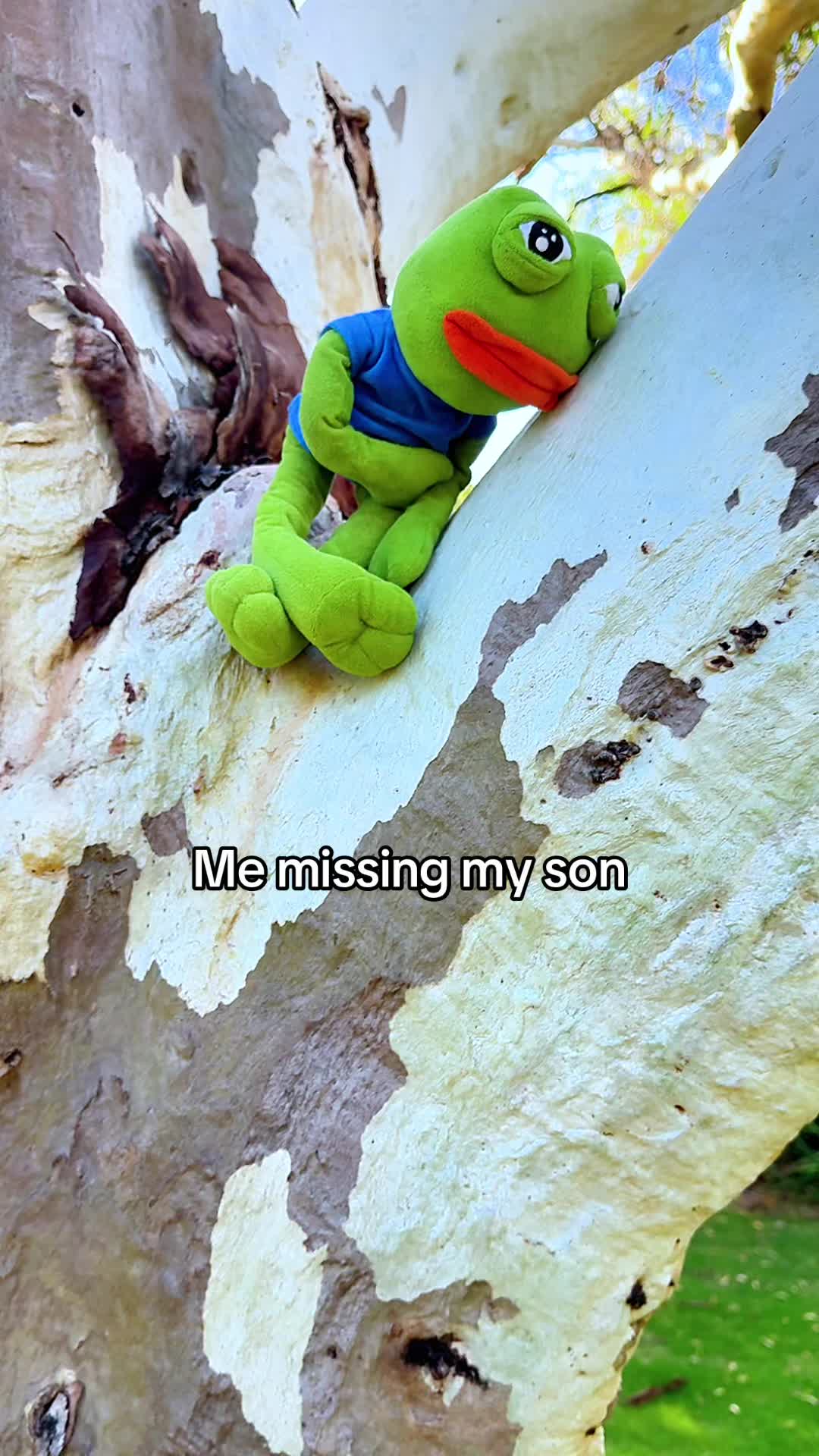 @AdoptAPepe
