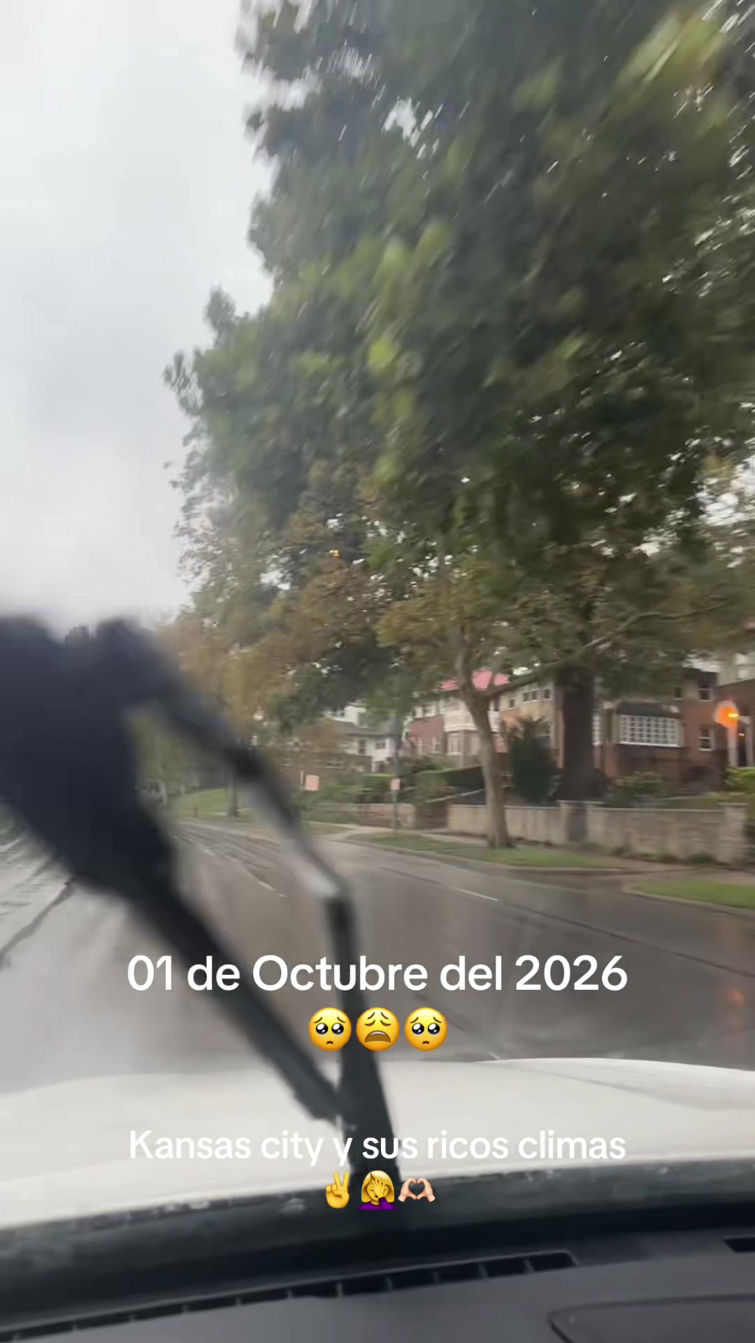 @PinedaRamos