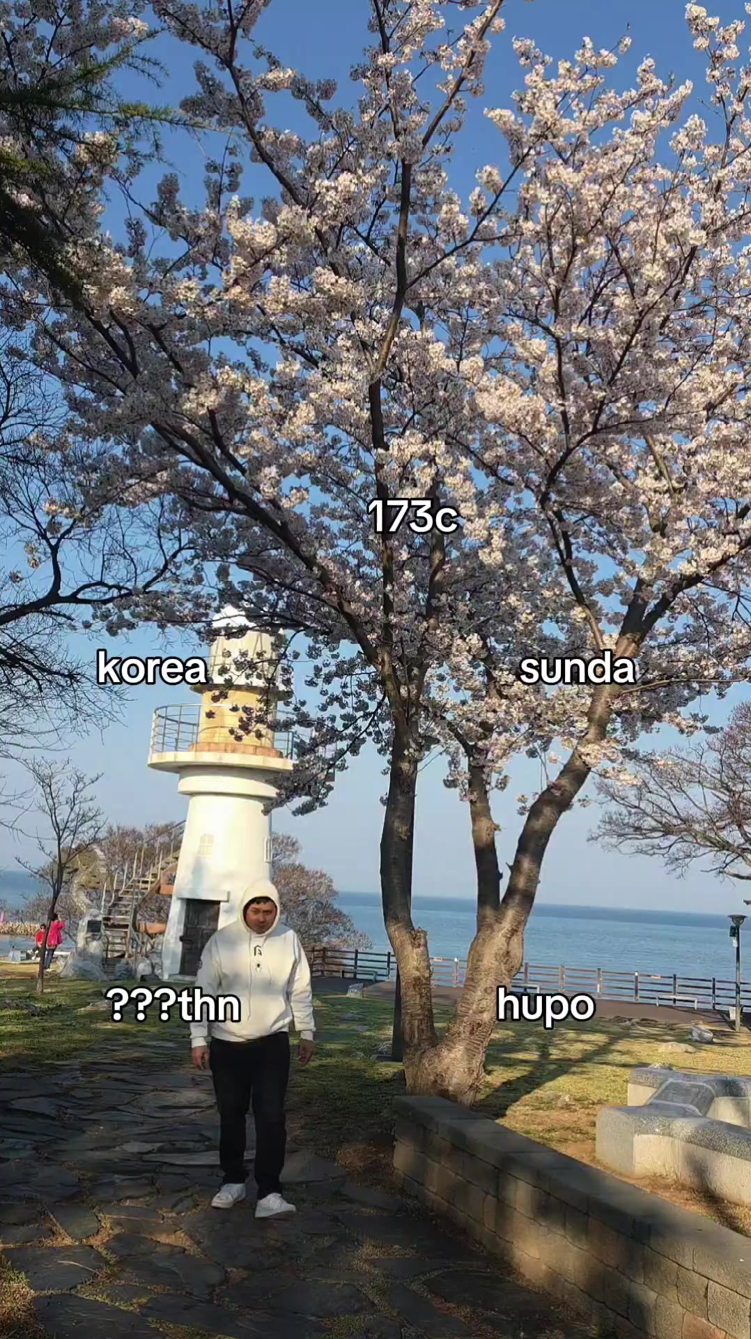 @Denny Bass Kiim 🇮🇩🇰🇷