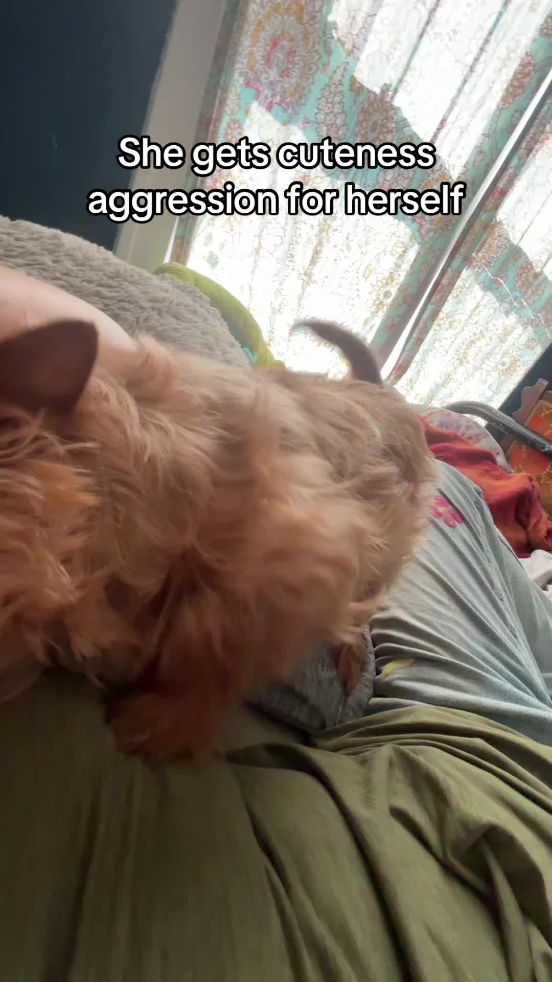 @y1zg4mora