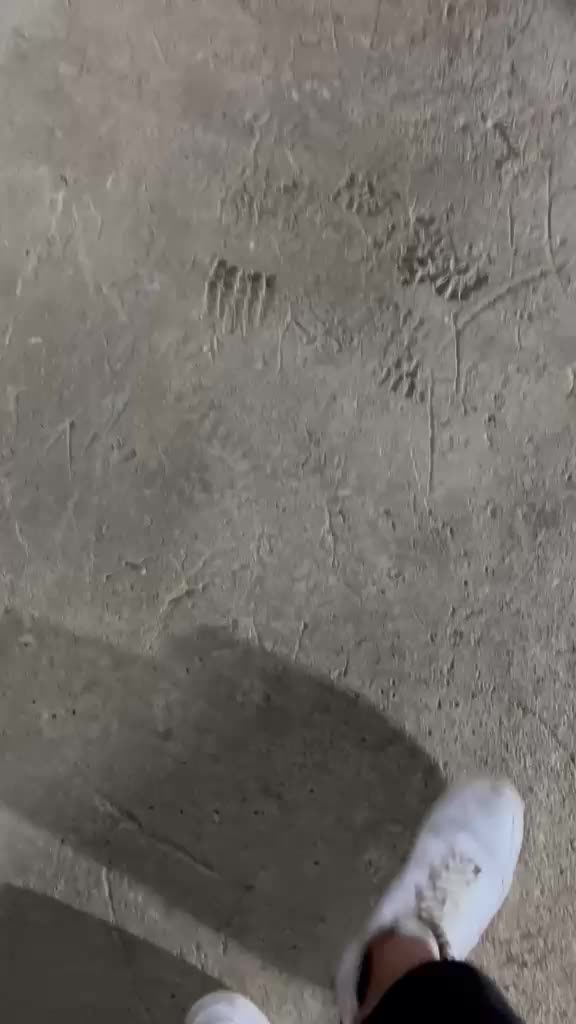 @_giovii_929