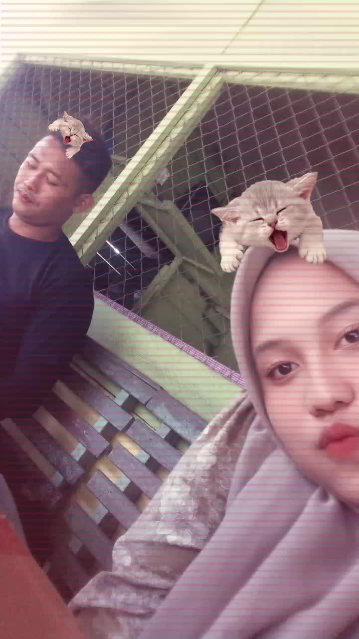 @Dian Sulis Tari