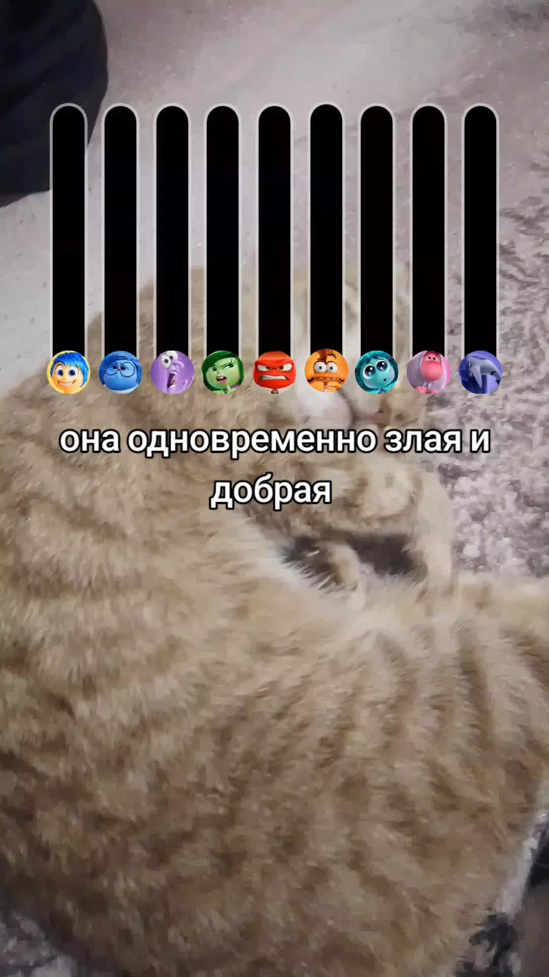 @Котогусеница