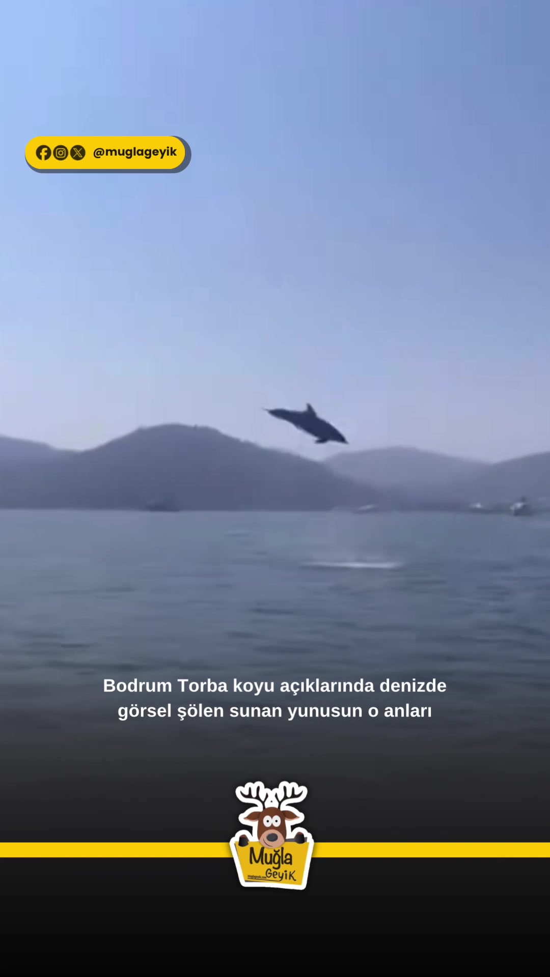 @Muğla Geyik