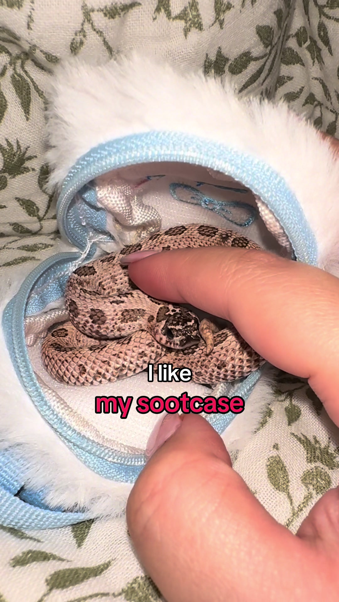 @Repti.snoot