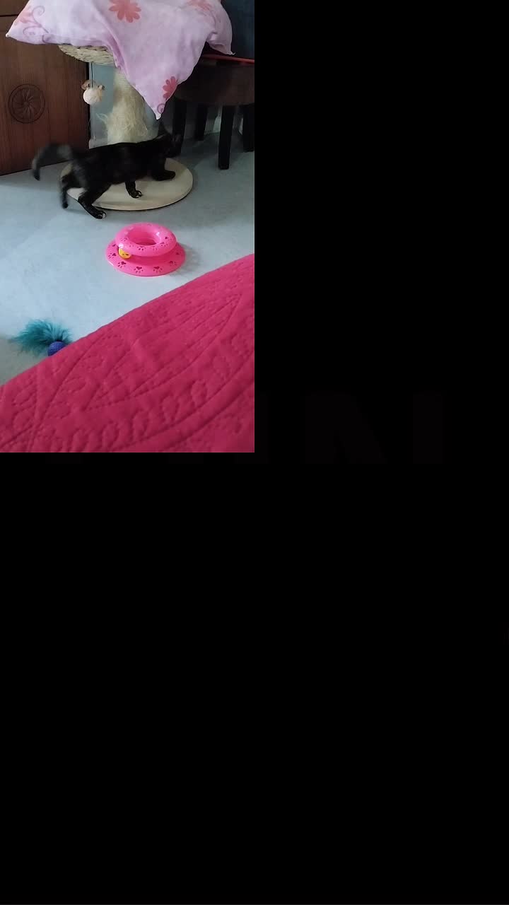 @patriciacombier92