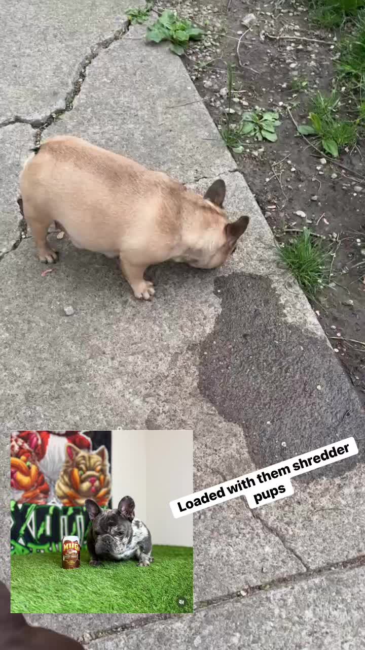 @nuwopp46