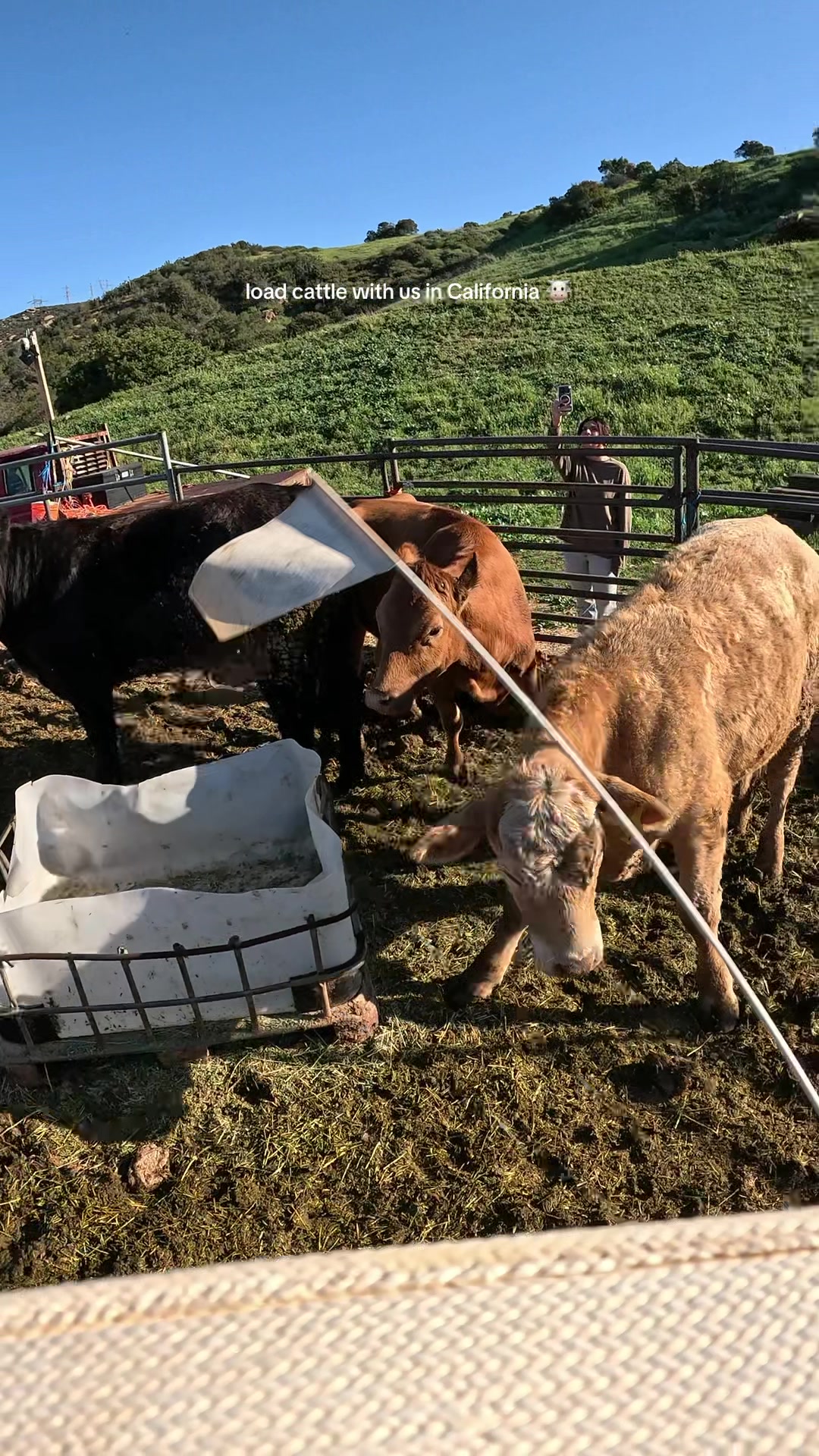@myranchdiary
