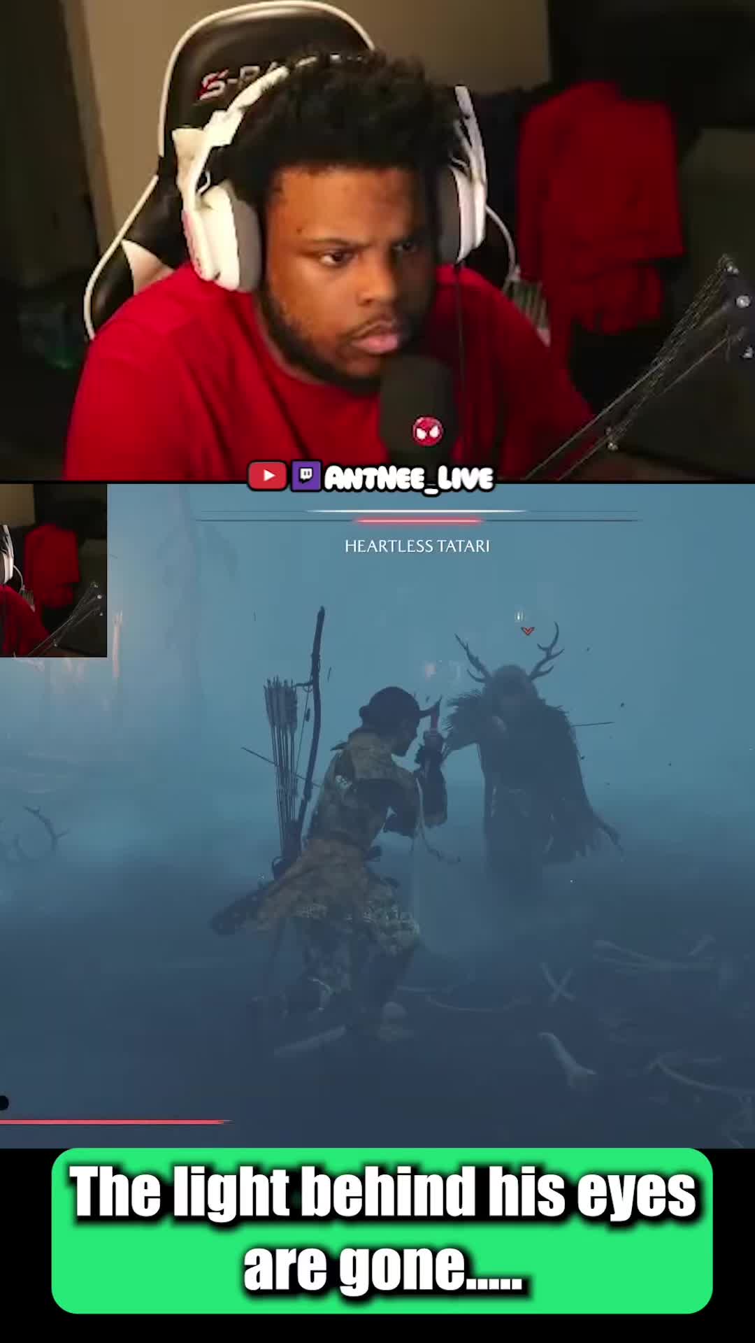 @AntNee Live