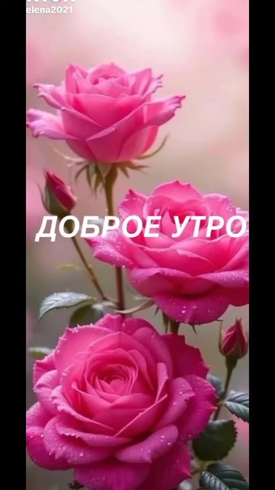 @Alex Germann