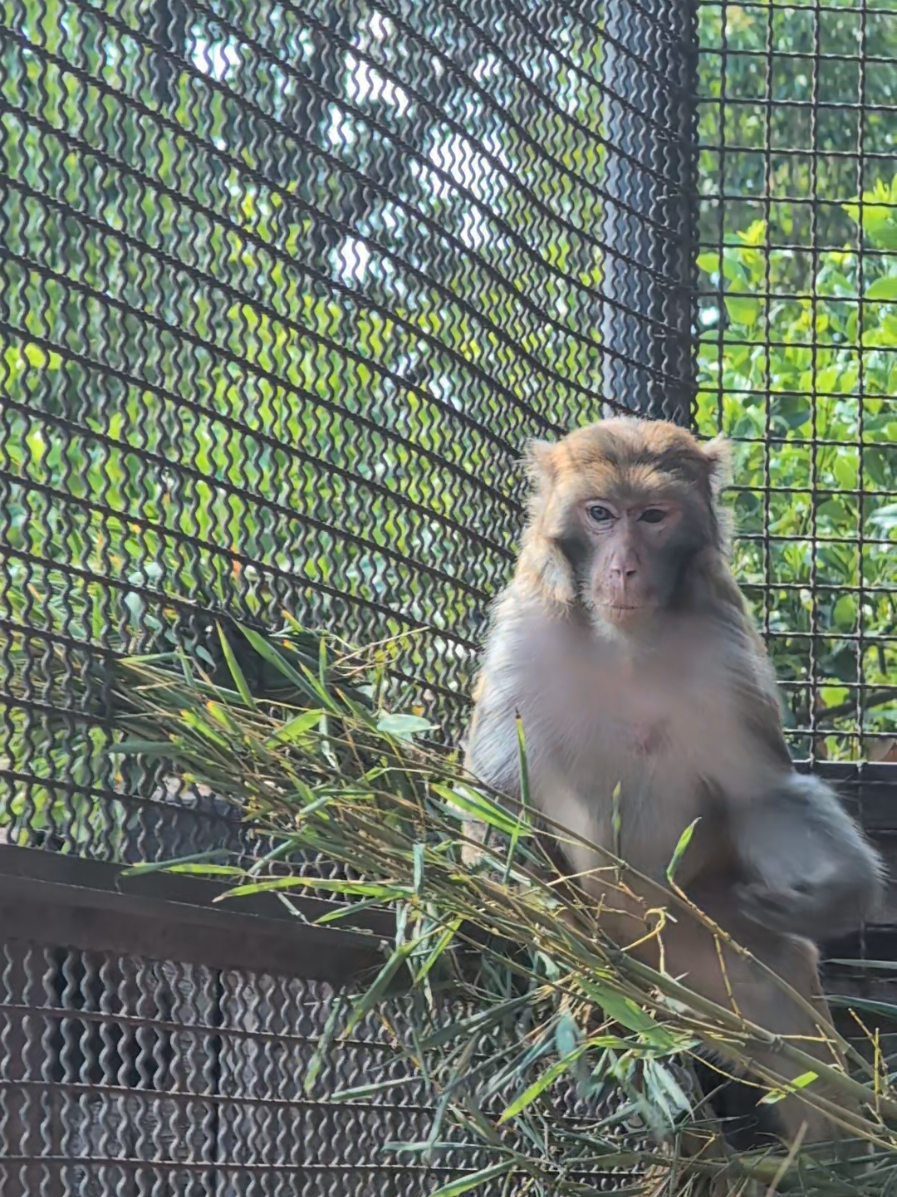 @Parco Zoo delle Star