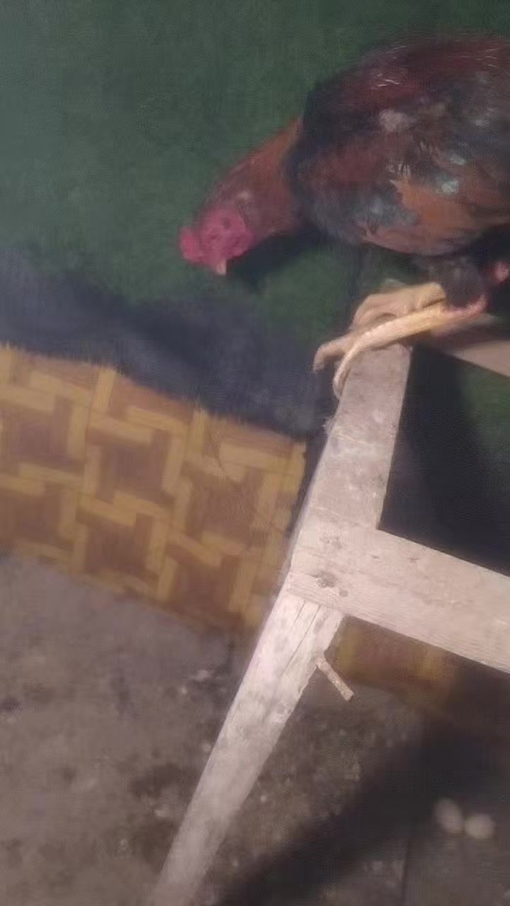 @peşəkarlar 6006556