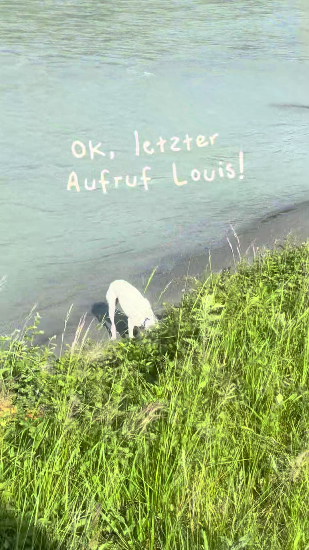 @MaSa, Louis & die Pferde