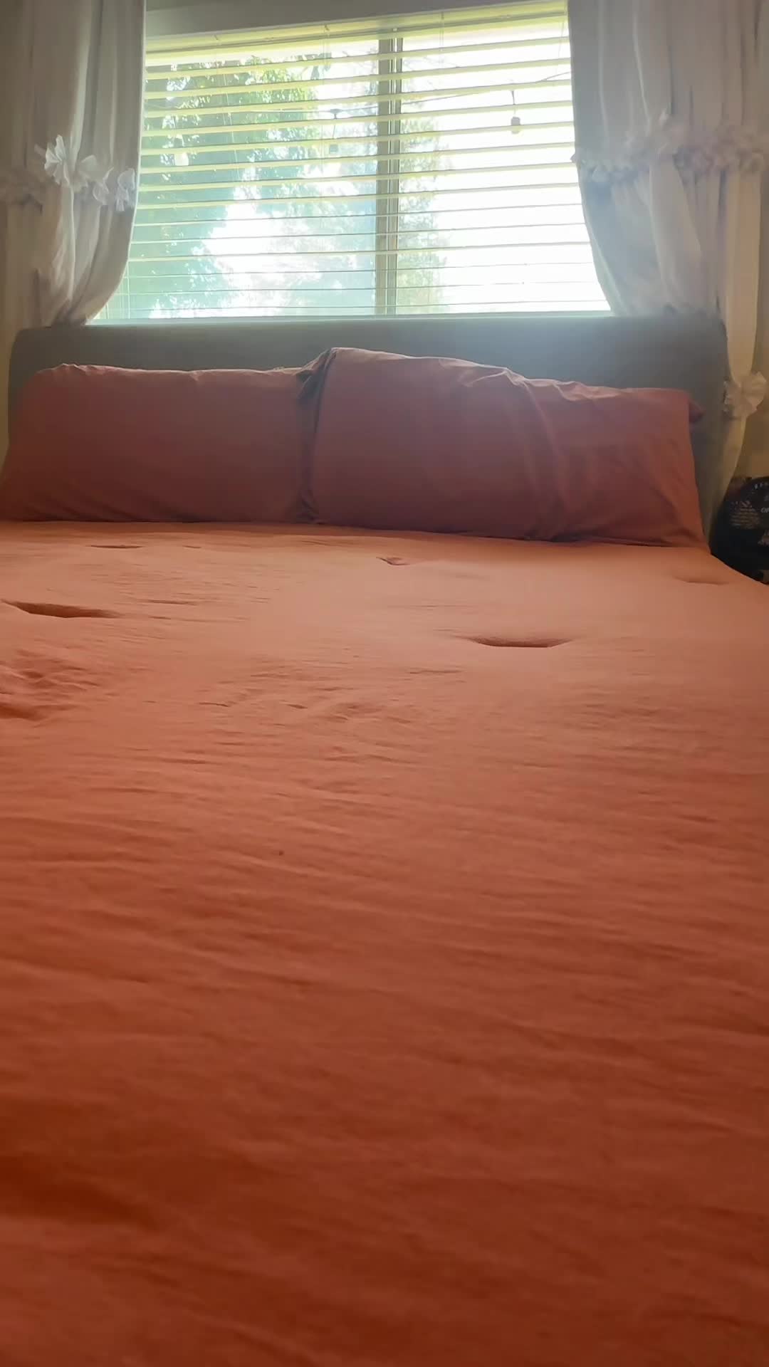 @Bella Saya