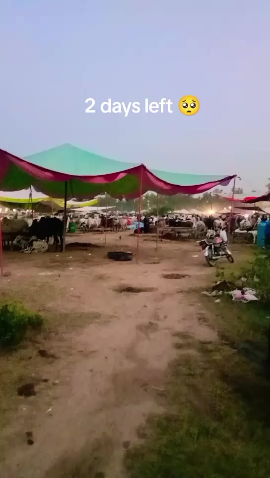 @Haziq Gujjar 🫀🙌