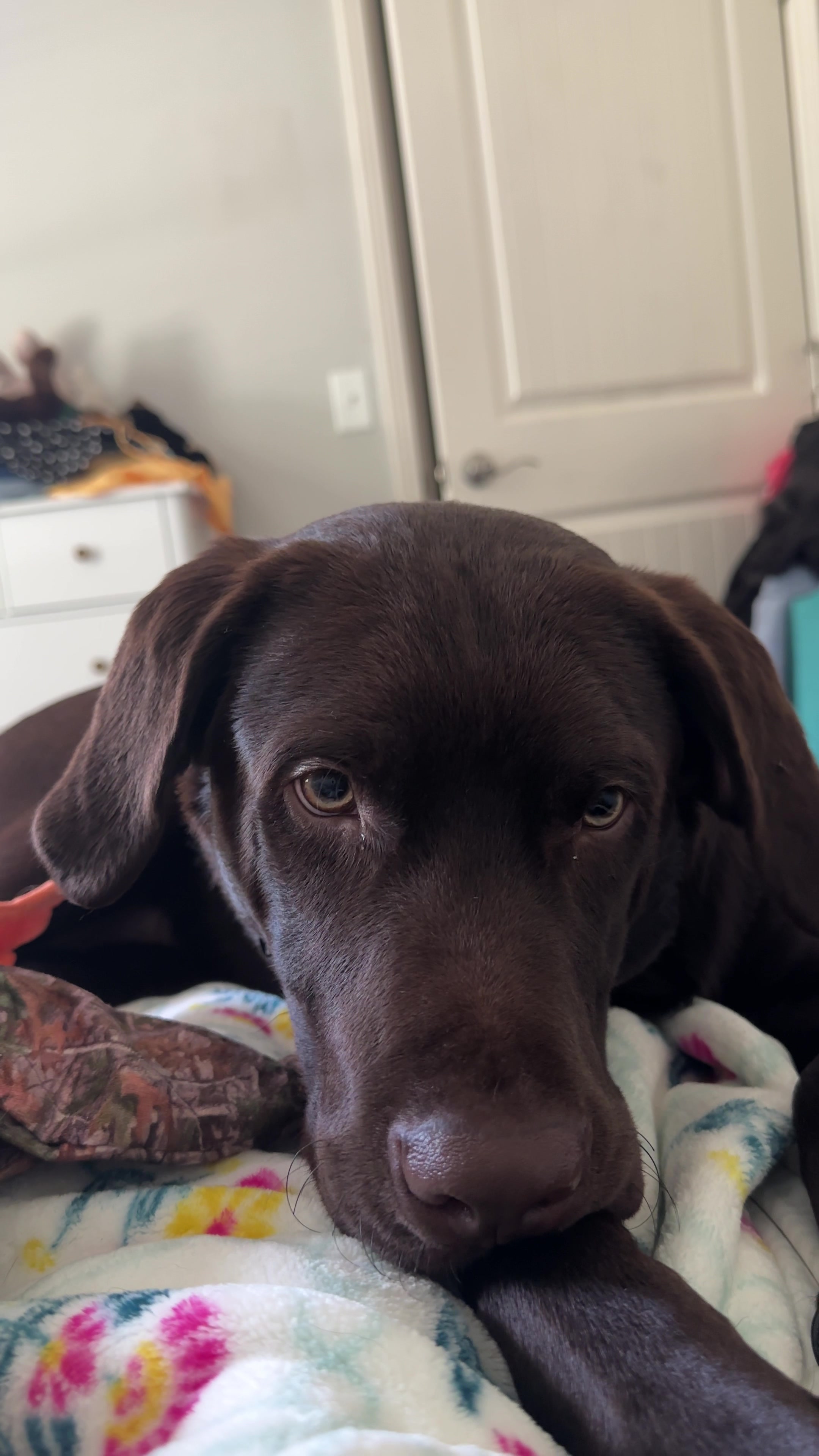 @moose the angel🕊️