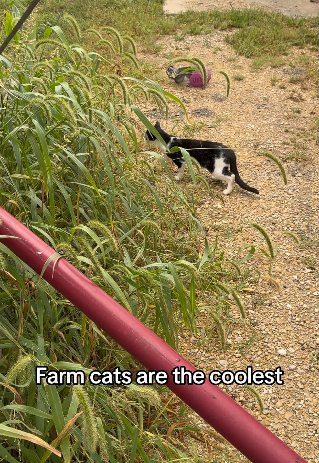 @Farmer Brando