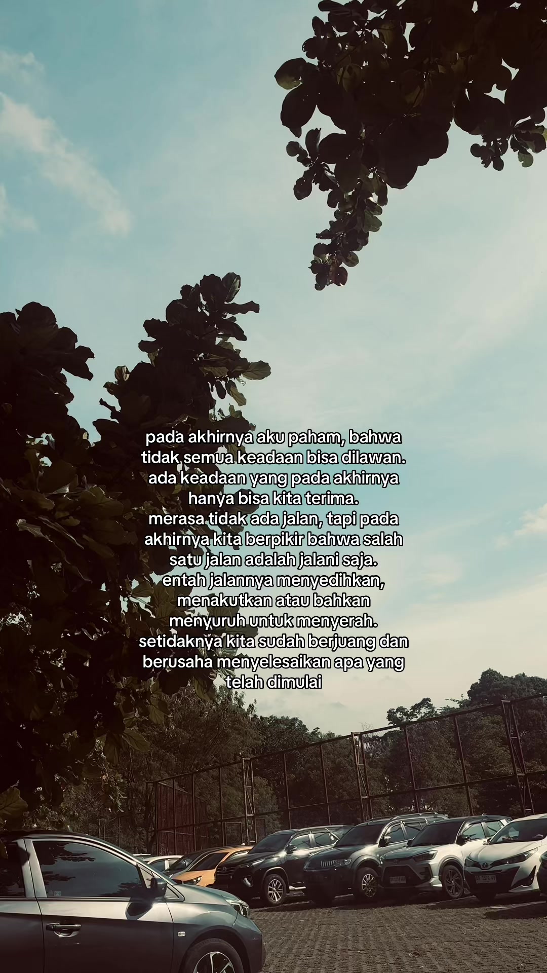 @zσηα gαℓαυ
