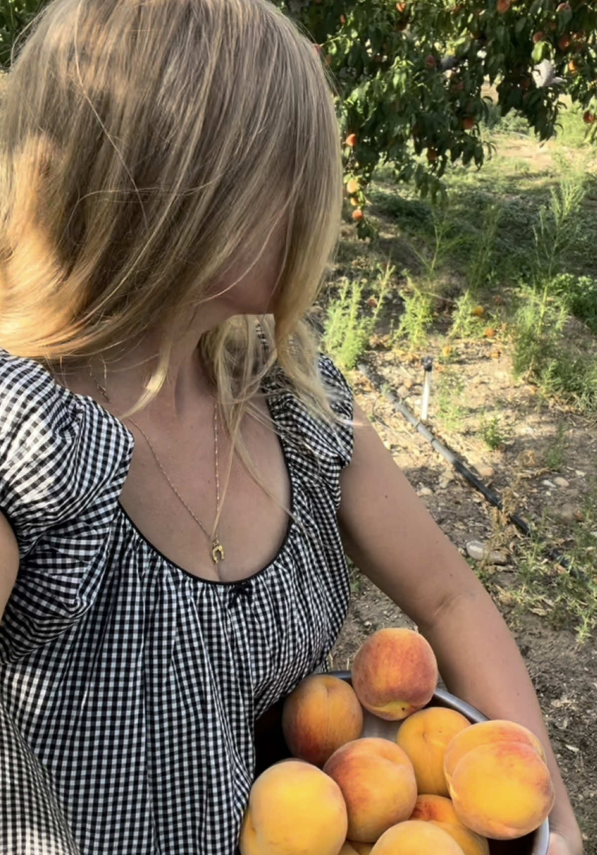 @farmgirlmadie