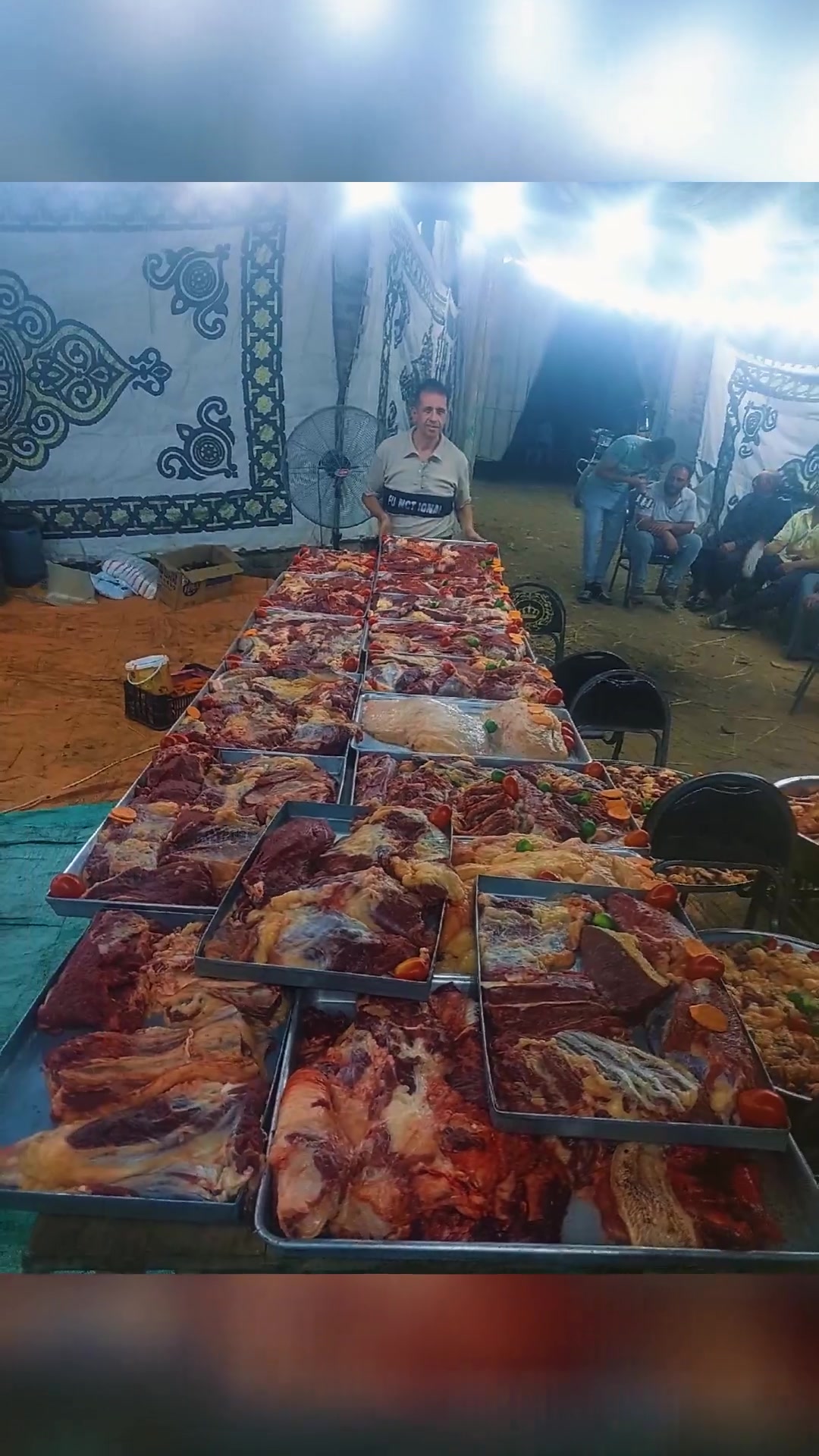 @ياسر بك شاهين