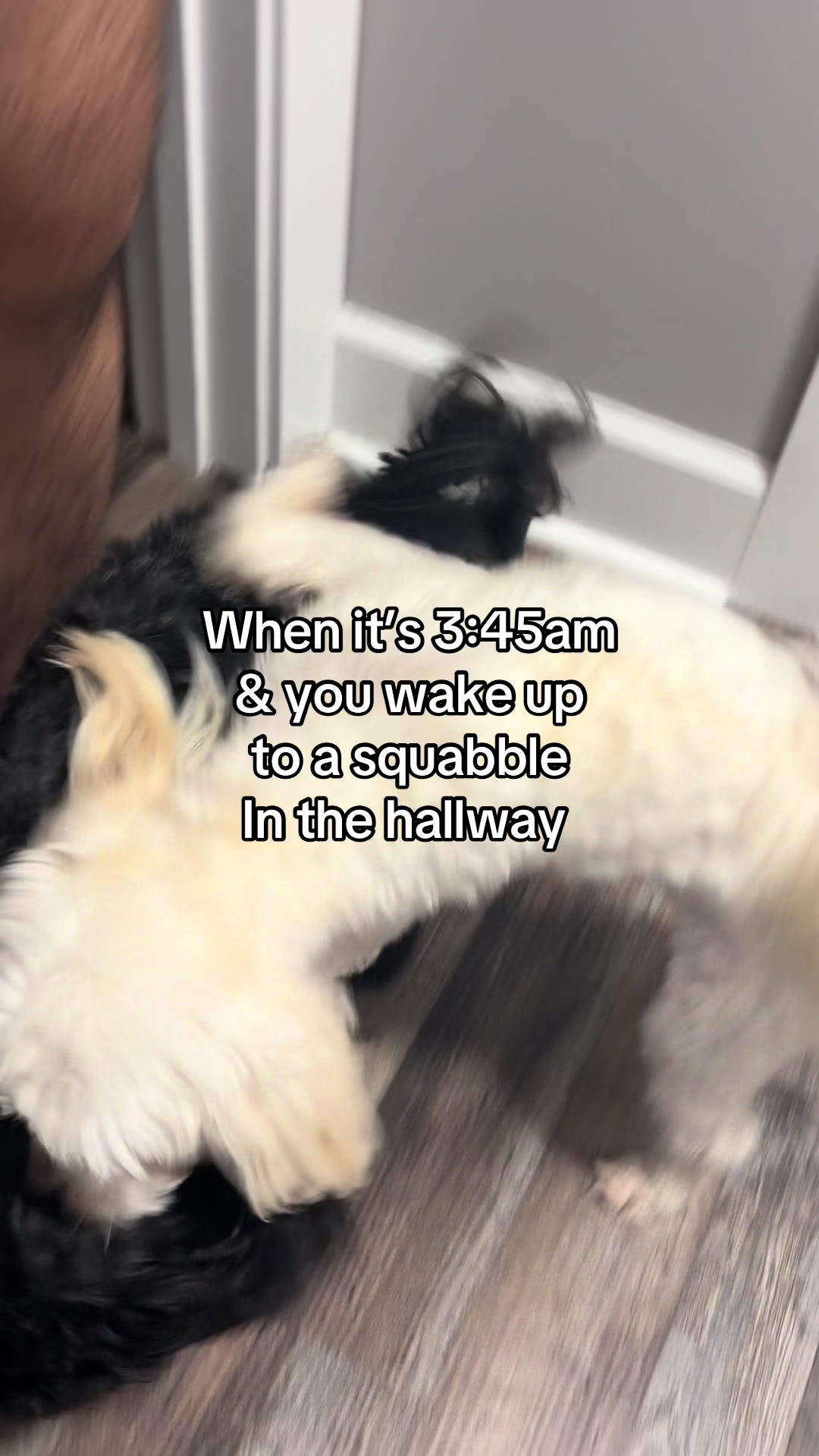 @sandovibez