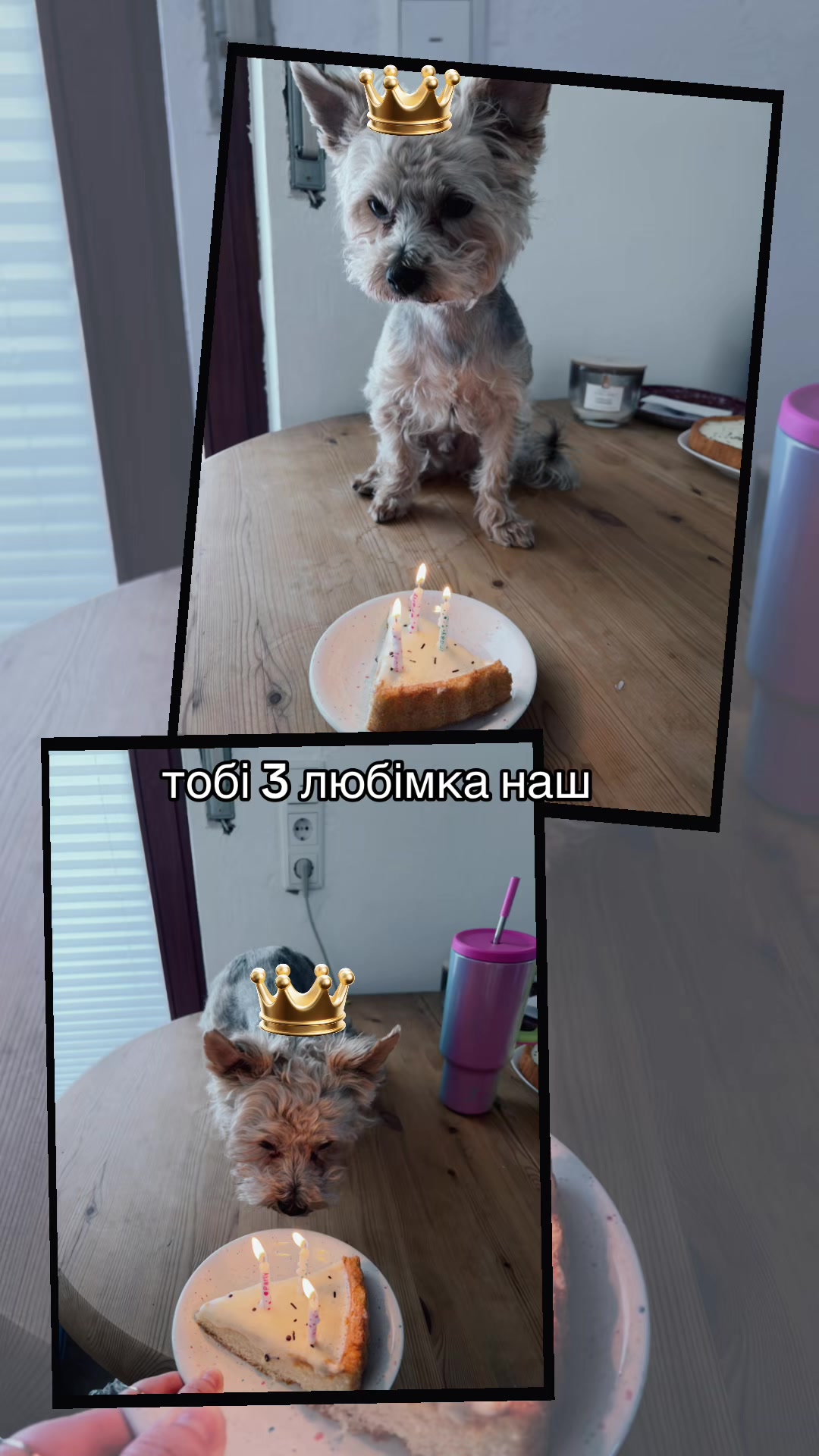 @✦ 𝓝𝓪𝓽𝓪𝓵𝓲𝓲𝓪 ✦
