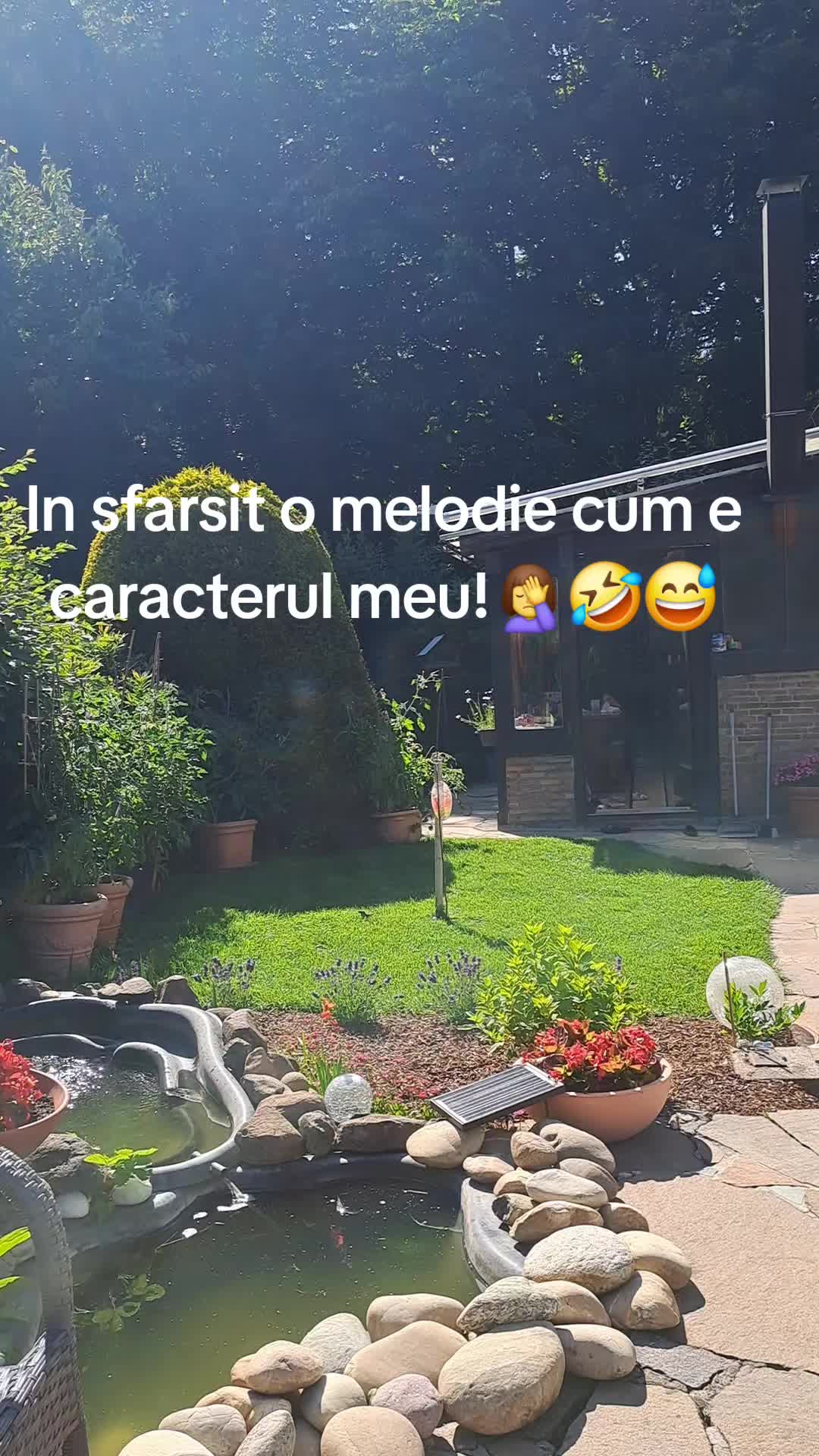 @Nicoleta Colease