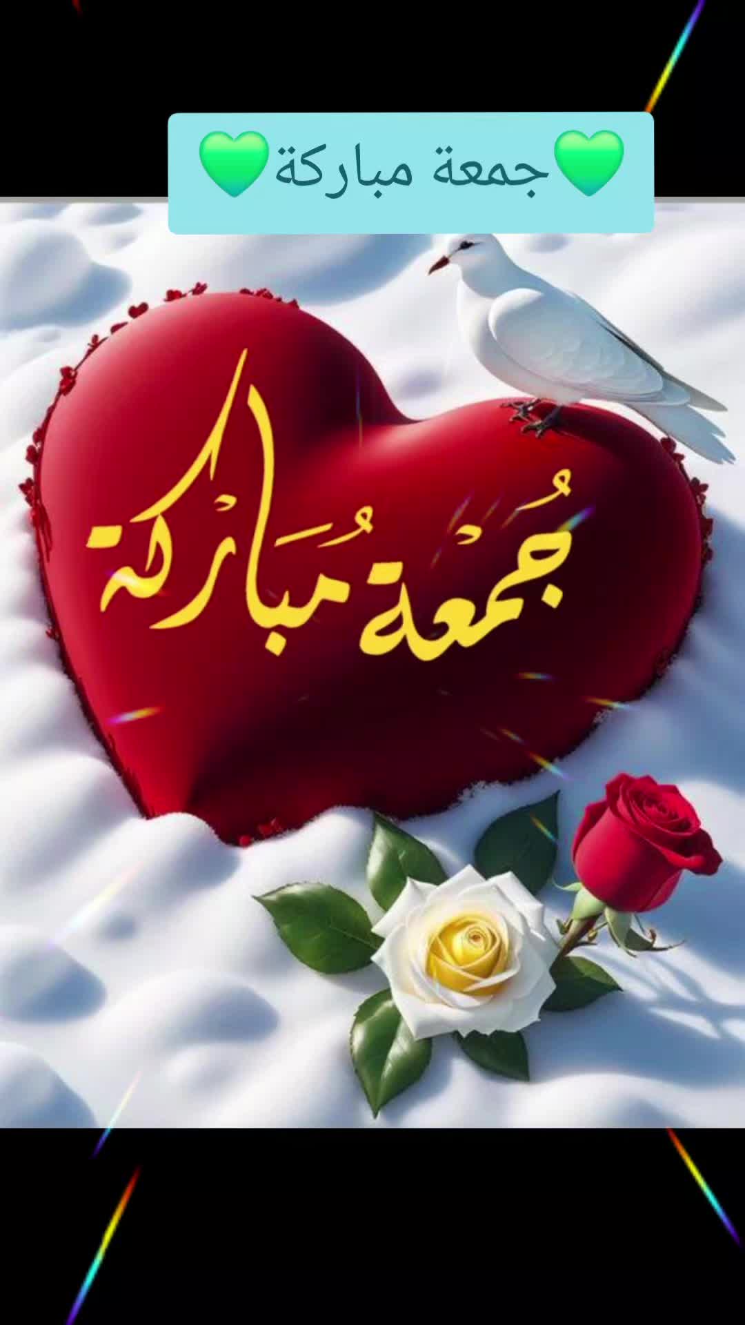 @حديقة الورد🌷🌷