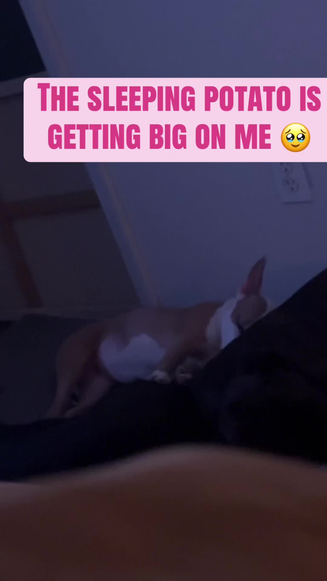 @ElBeeShe