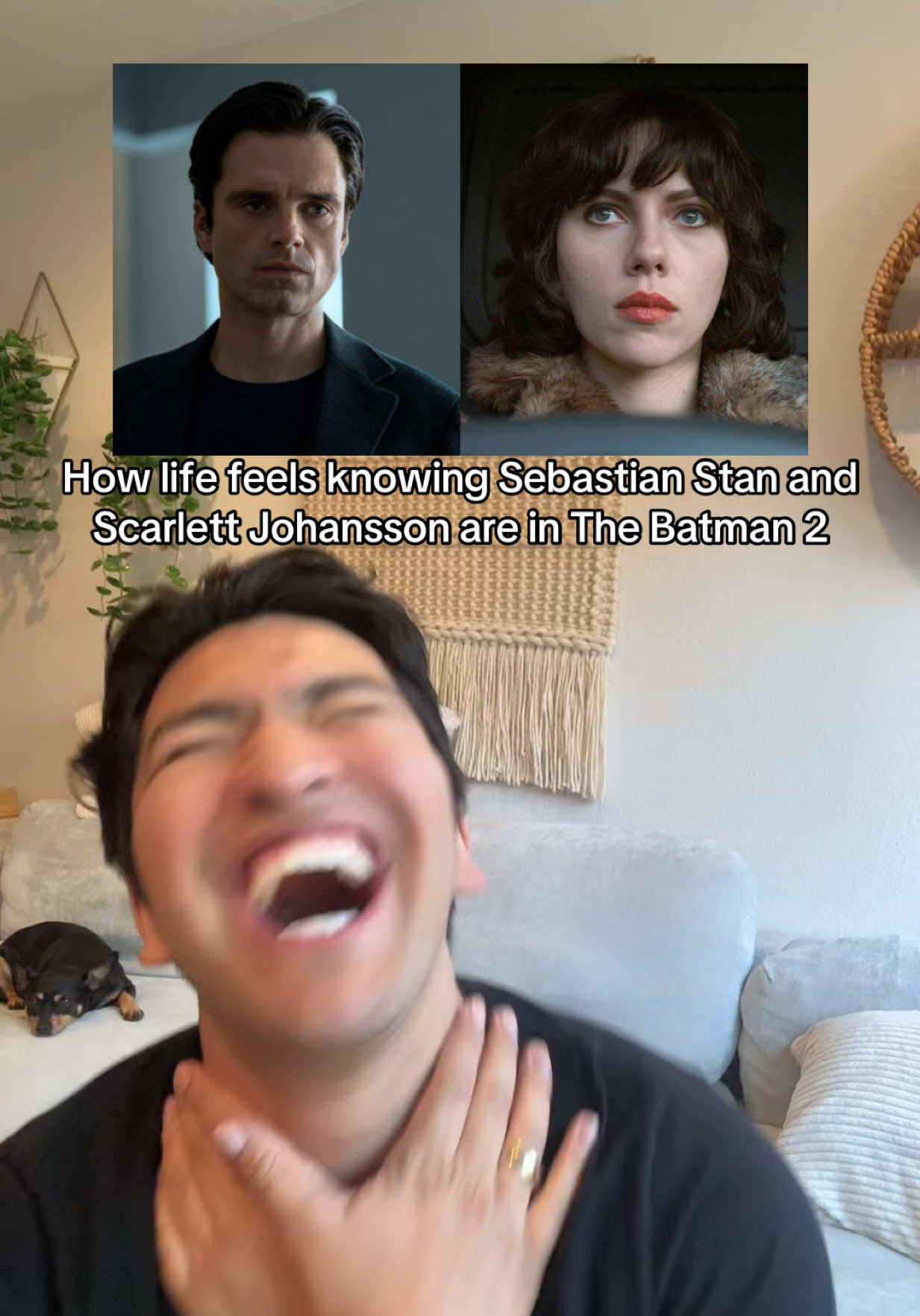 @blurayangel
