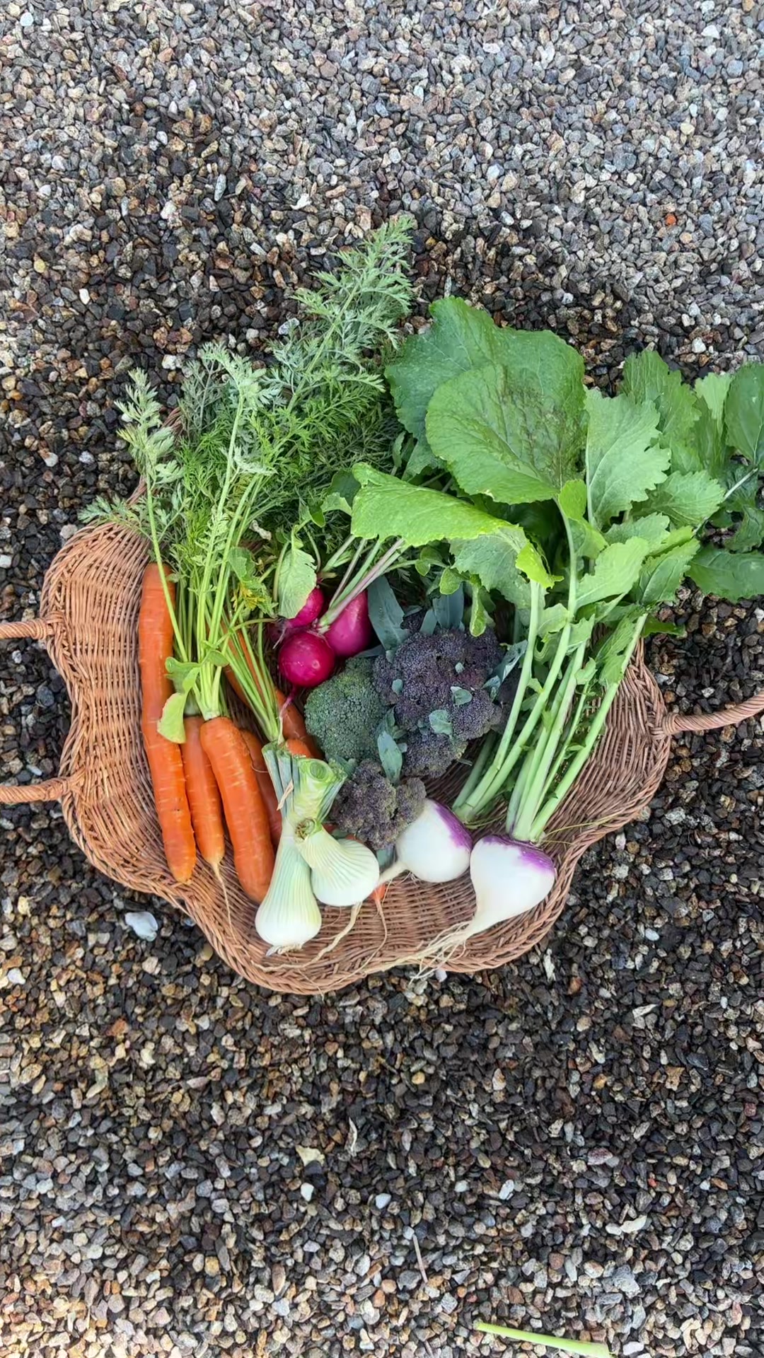 @earthboundgardening