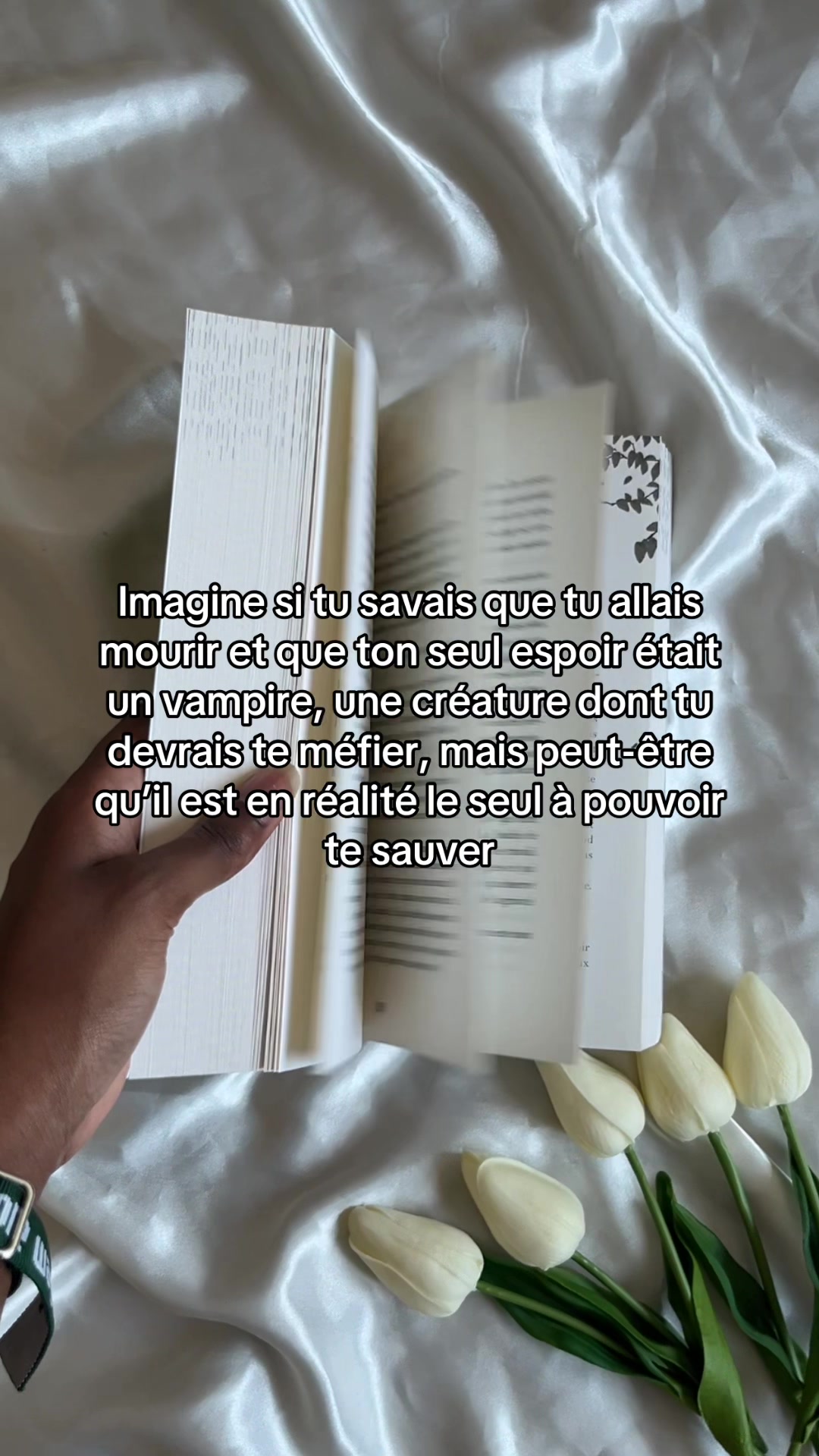 @libraryofshaina