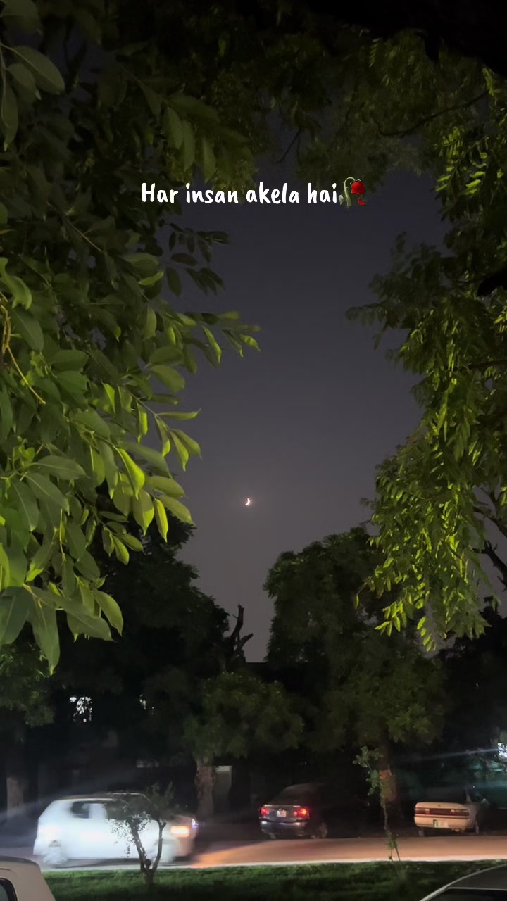 @Saba Rani | Cinematographer