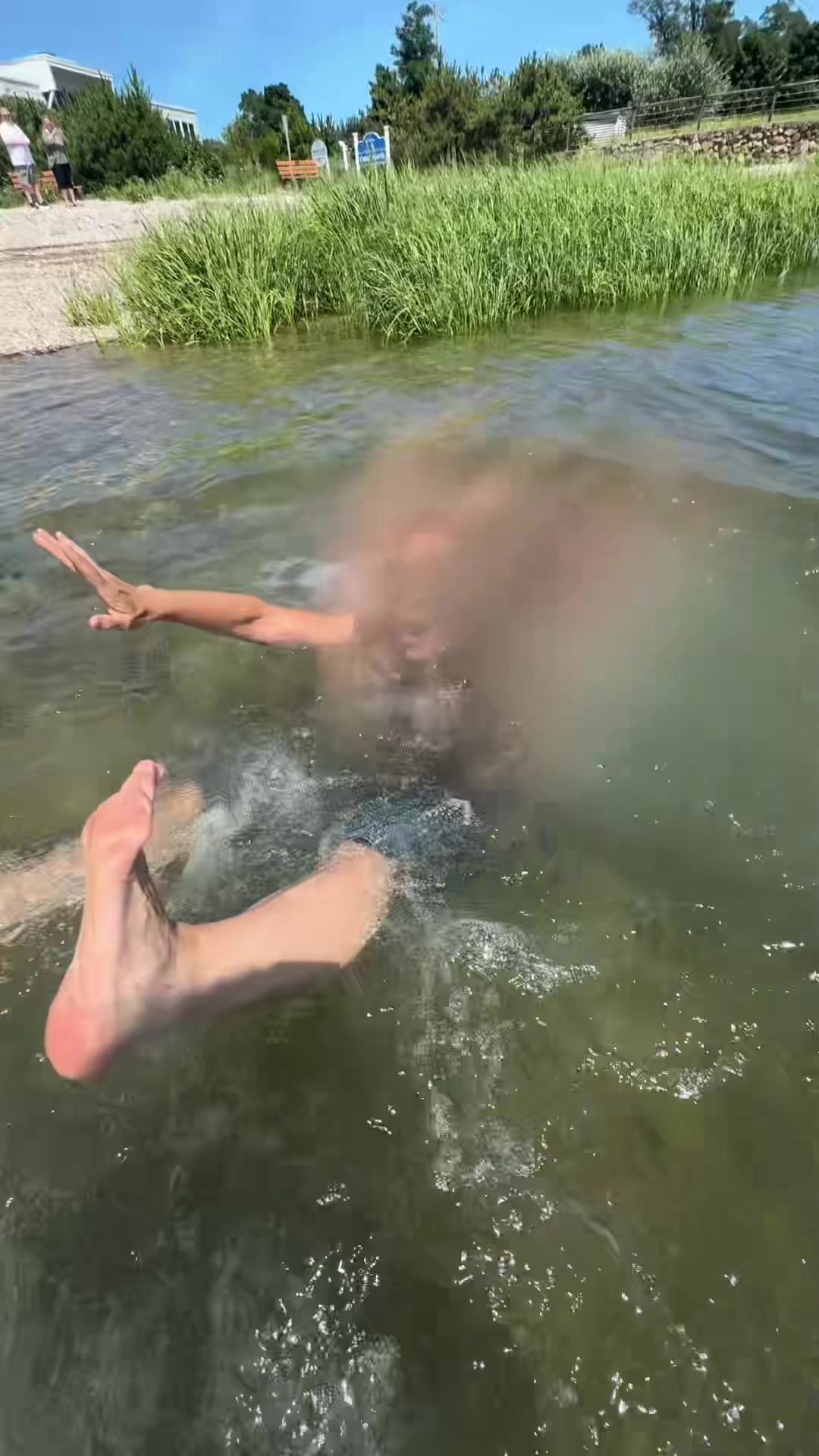 @lululapeaa 🫛
