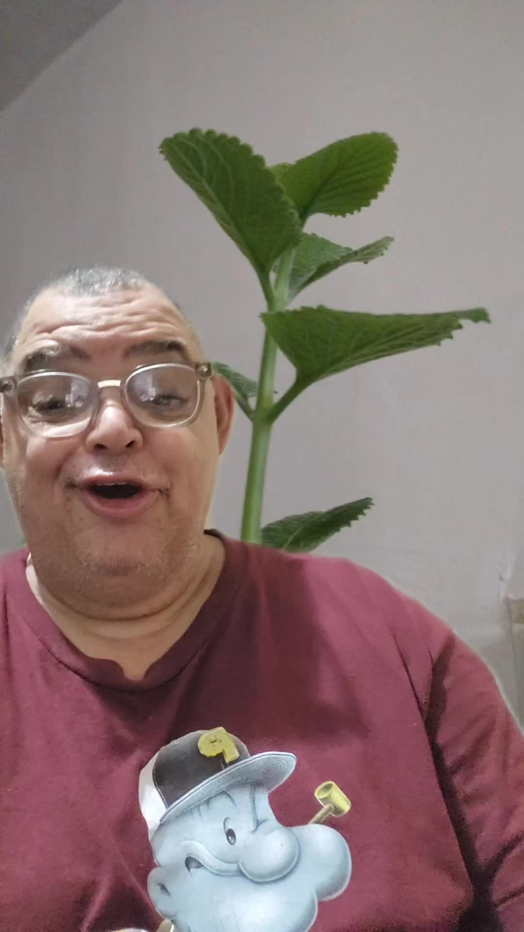 @julio s&oacute;lido 31