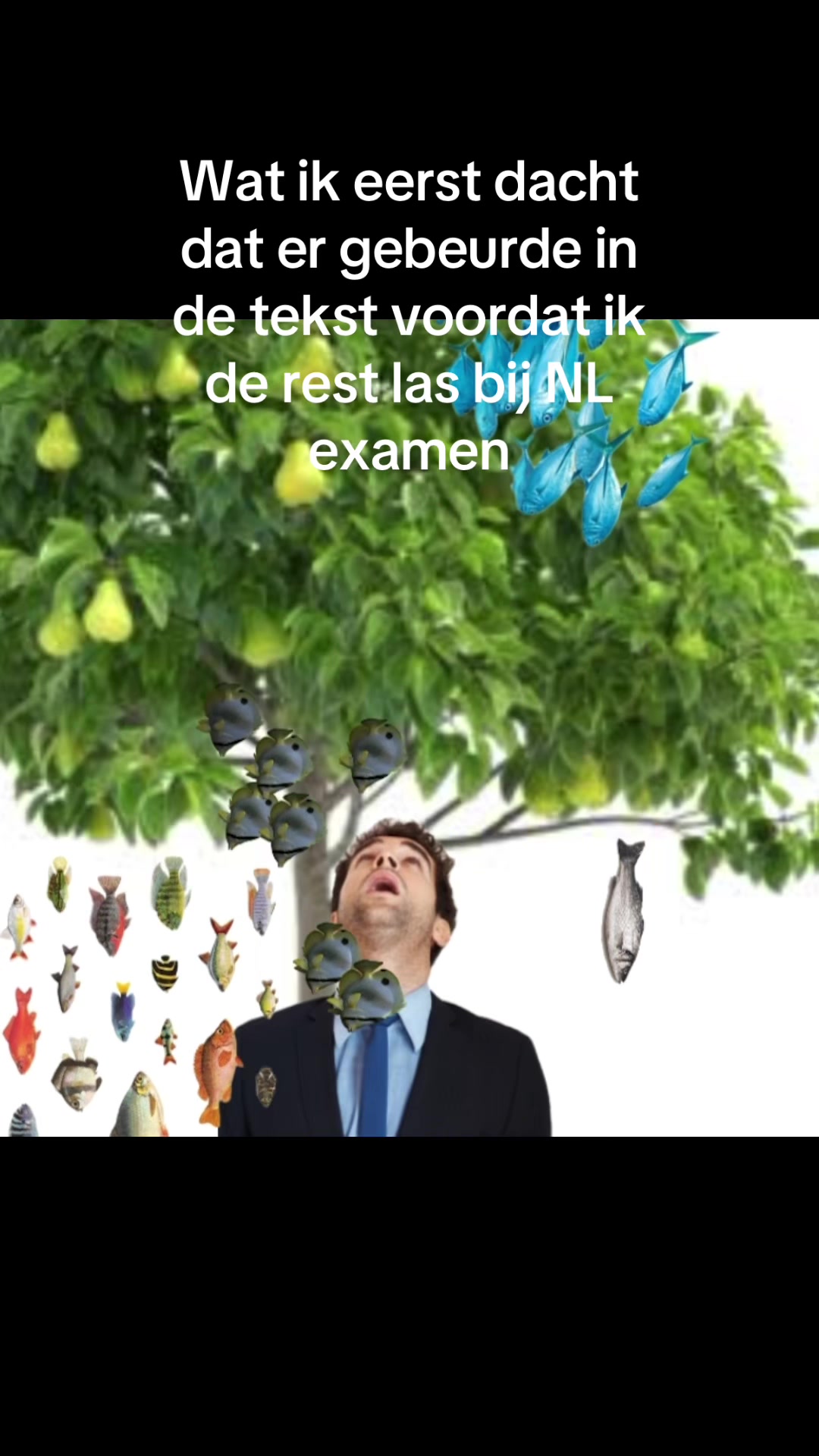 @🚦ɪɴᴋɪᴇ🚦