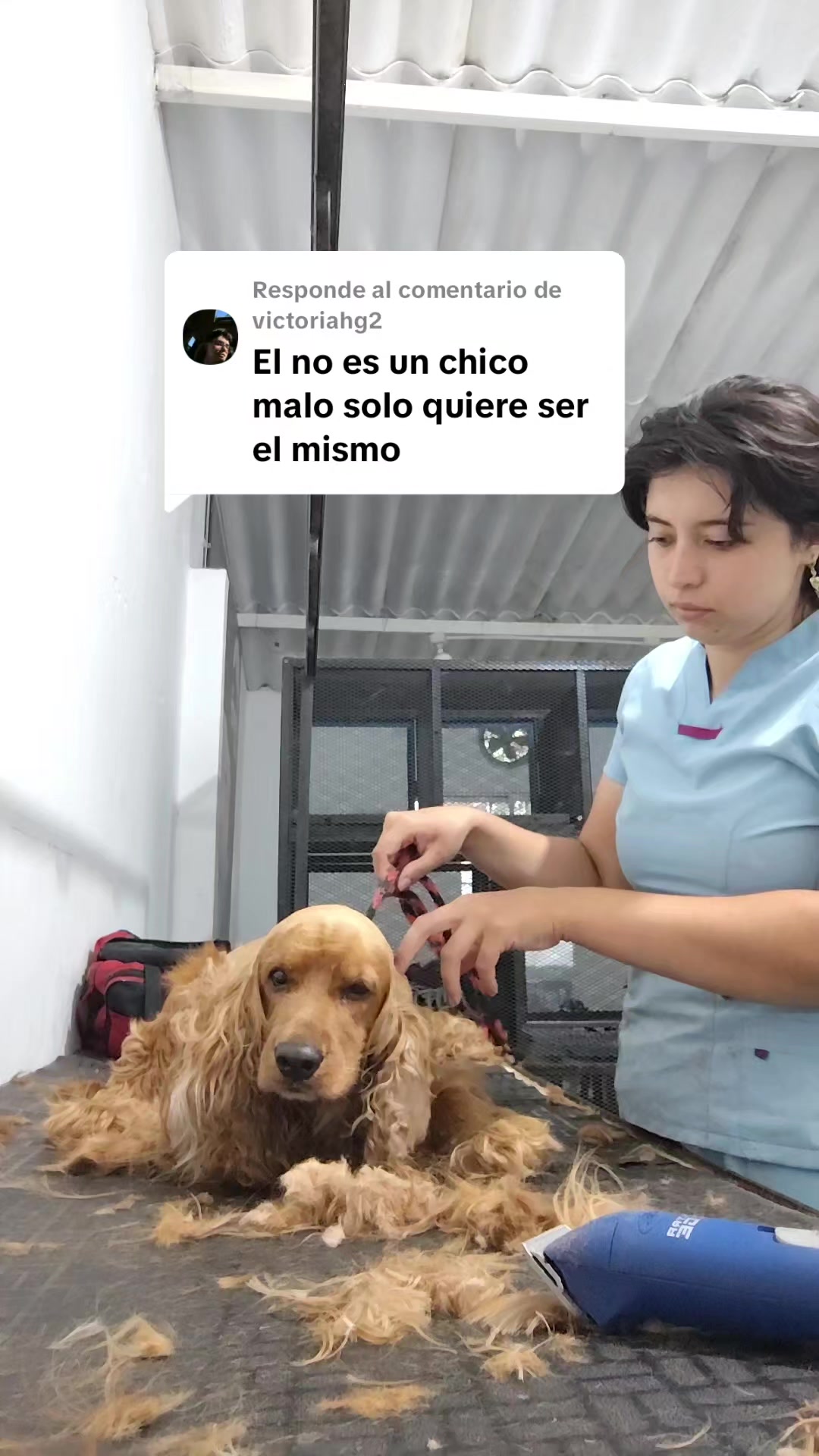 @✨ximenAragon✨