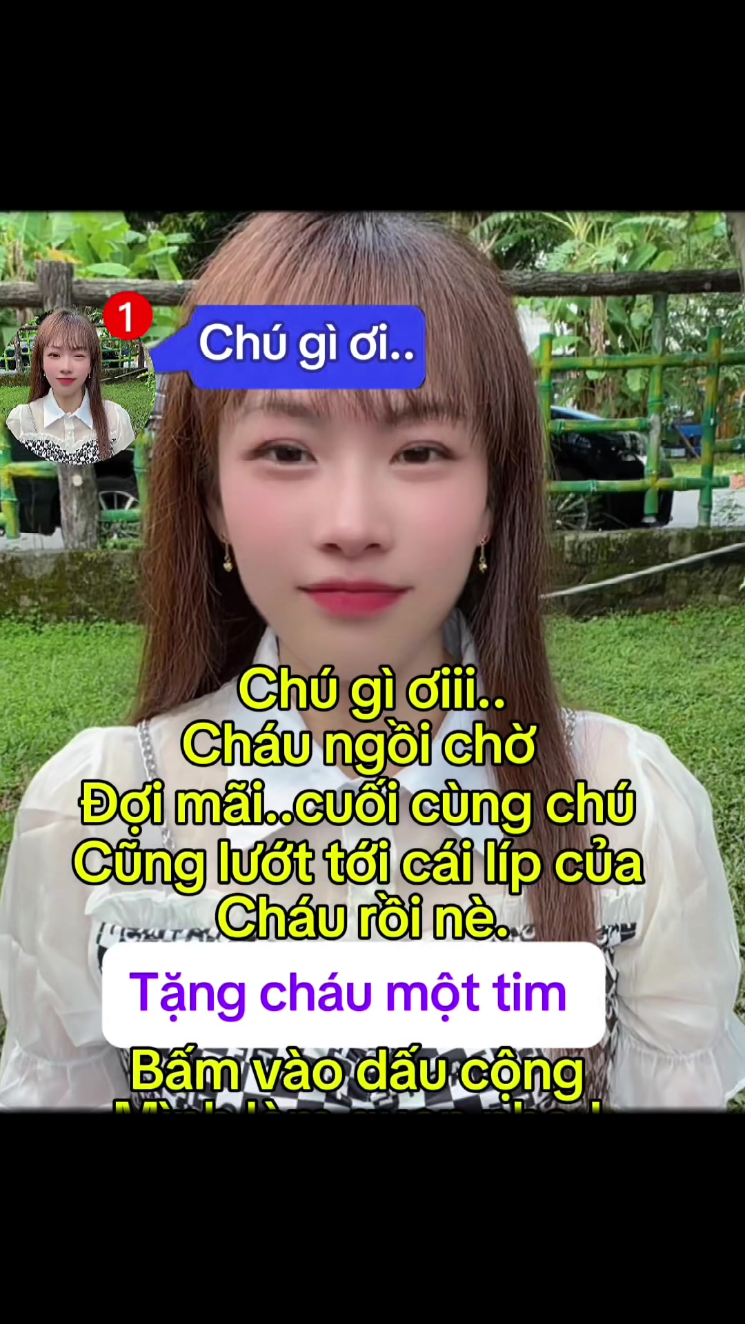 @KIẾN LỬA (螞蟻 )