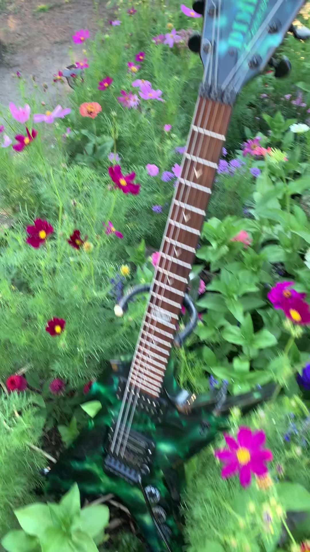 @Garden alive