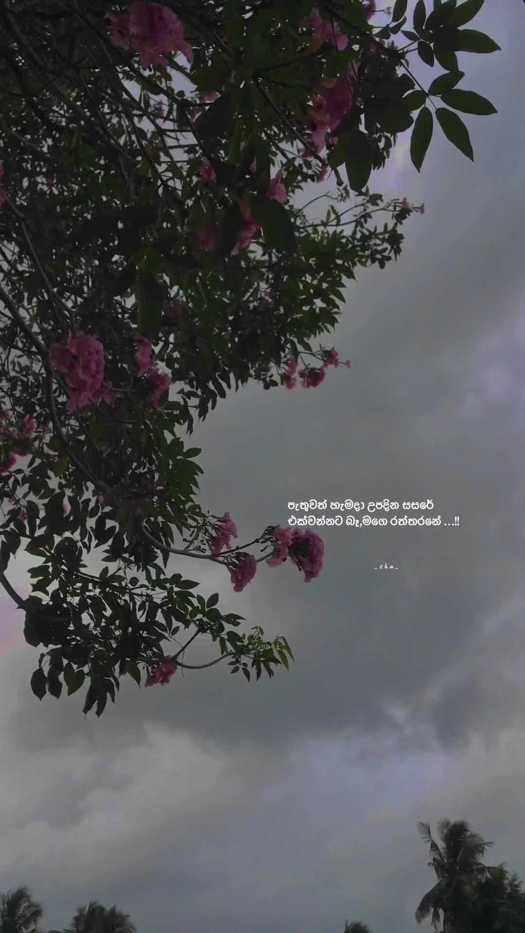 @𝗦>