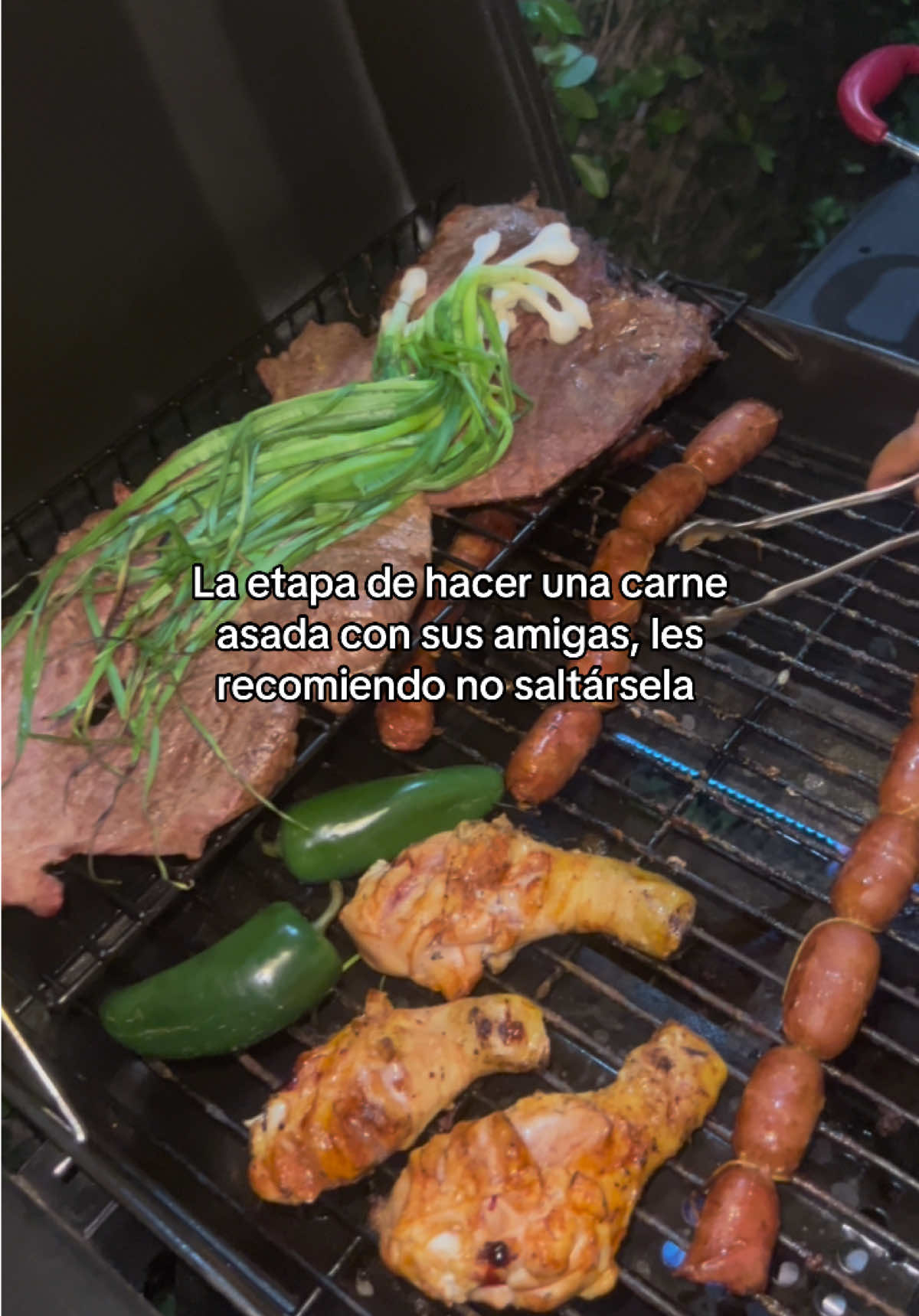 @lamachusita