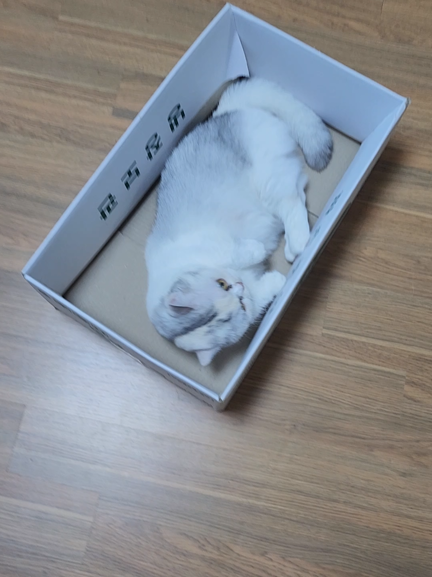 @박씨 거실