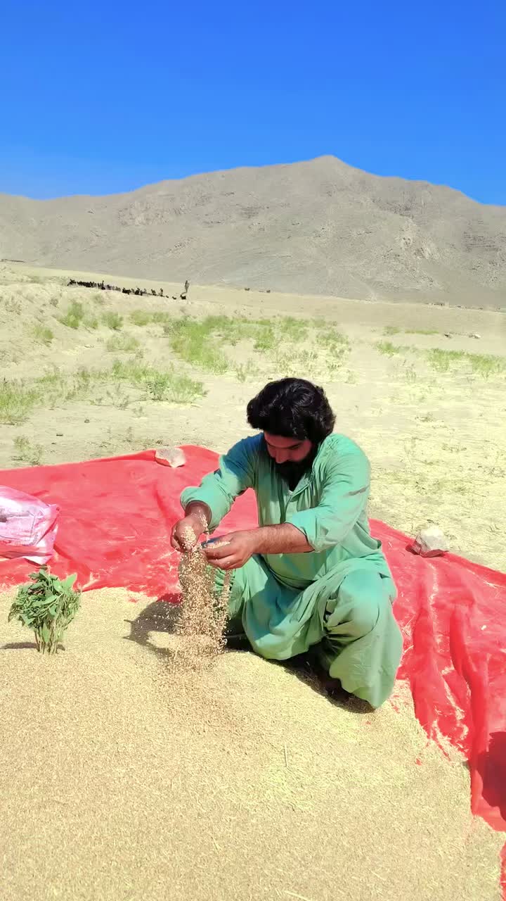 @Sarfaraz Raisani