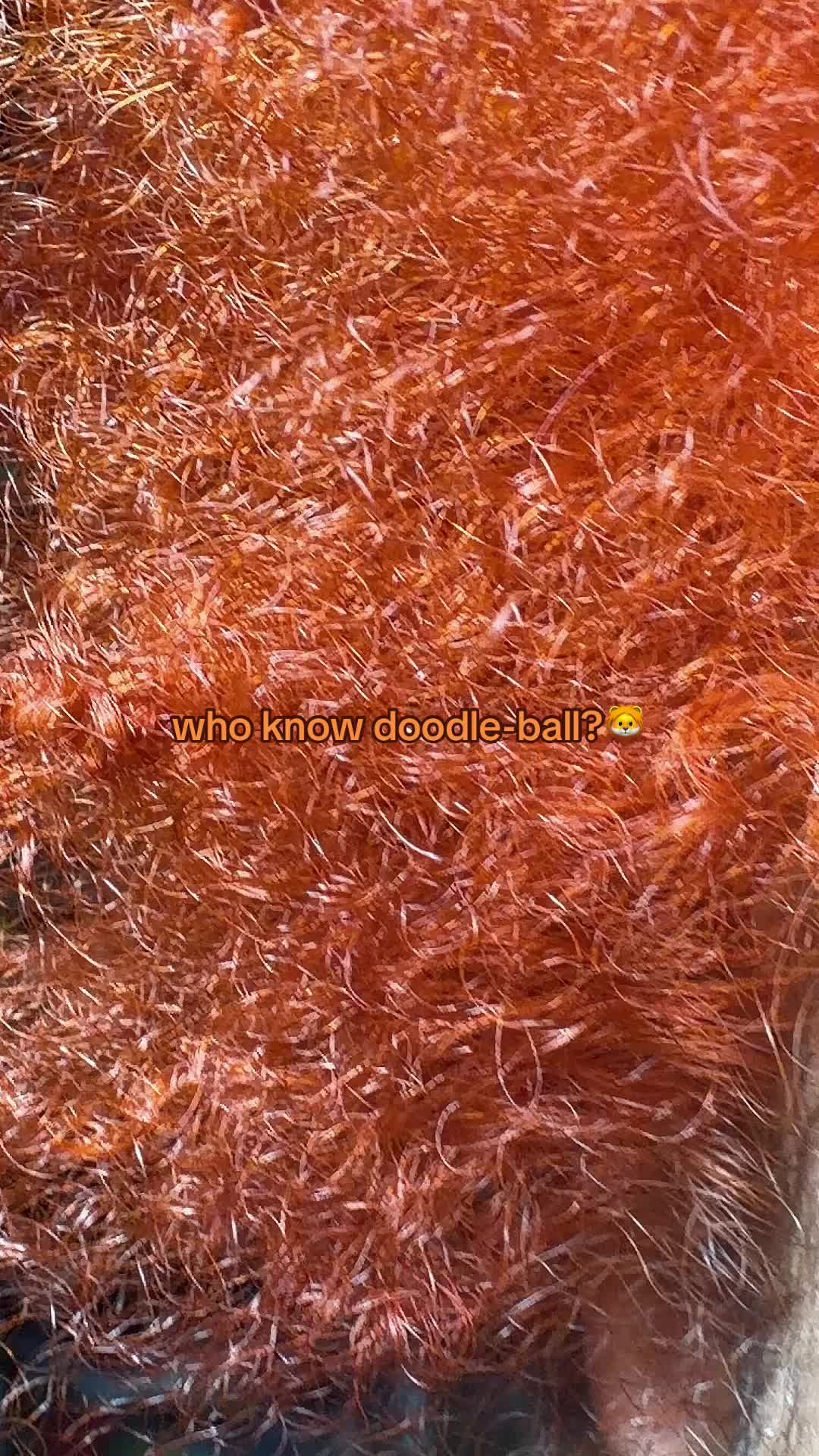 @๐