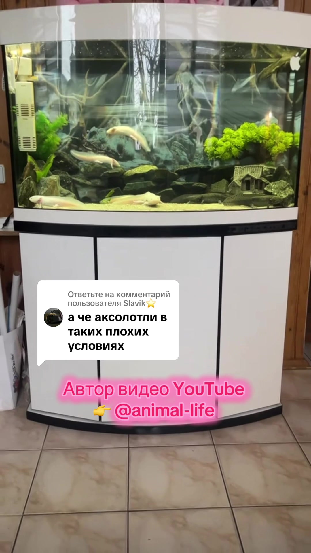 @z_l_a_tt_a