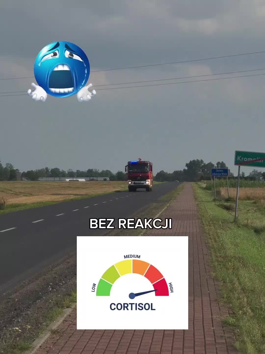 @marczykowski