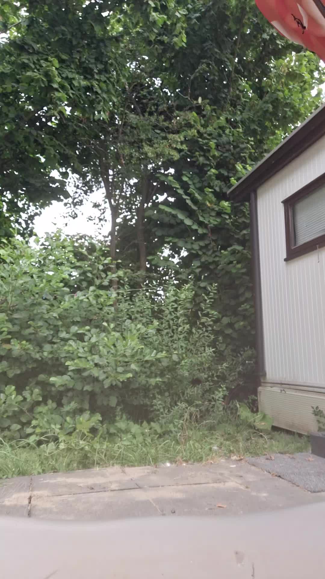 @SnakeBiteNL