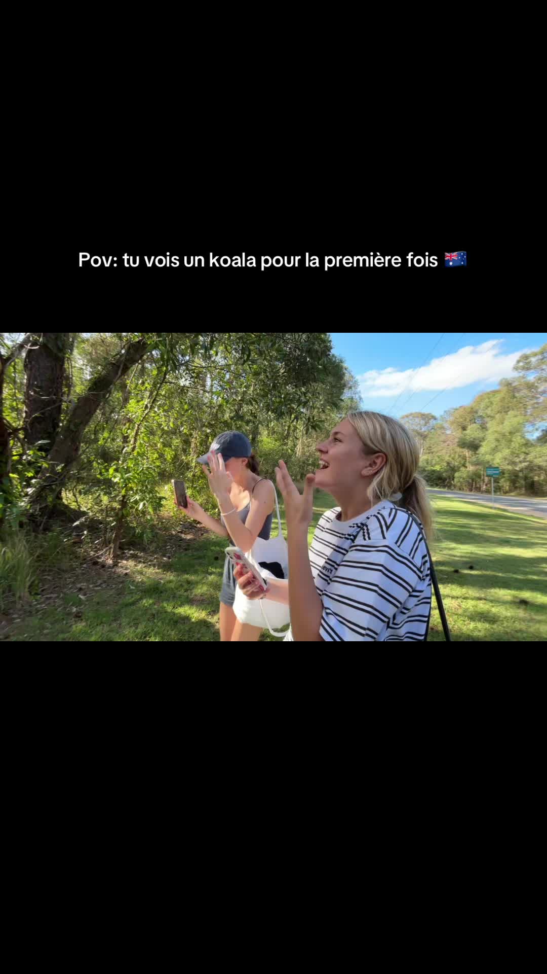 @les aventures de loulou ✨